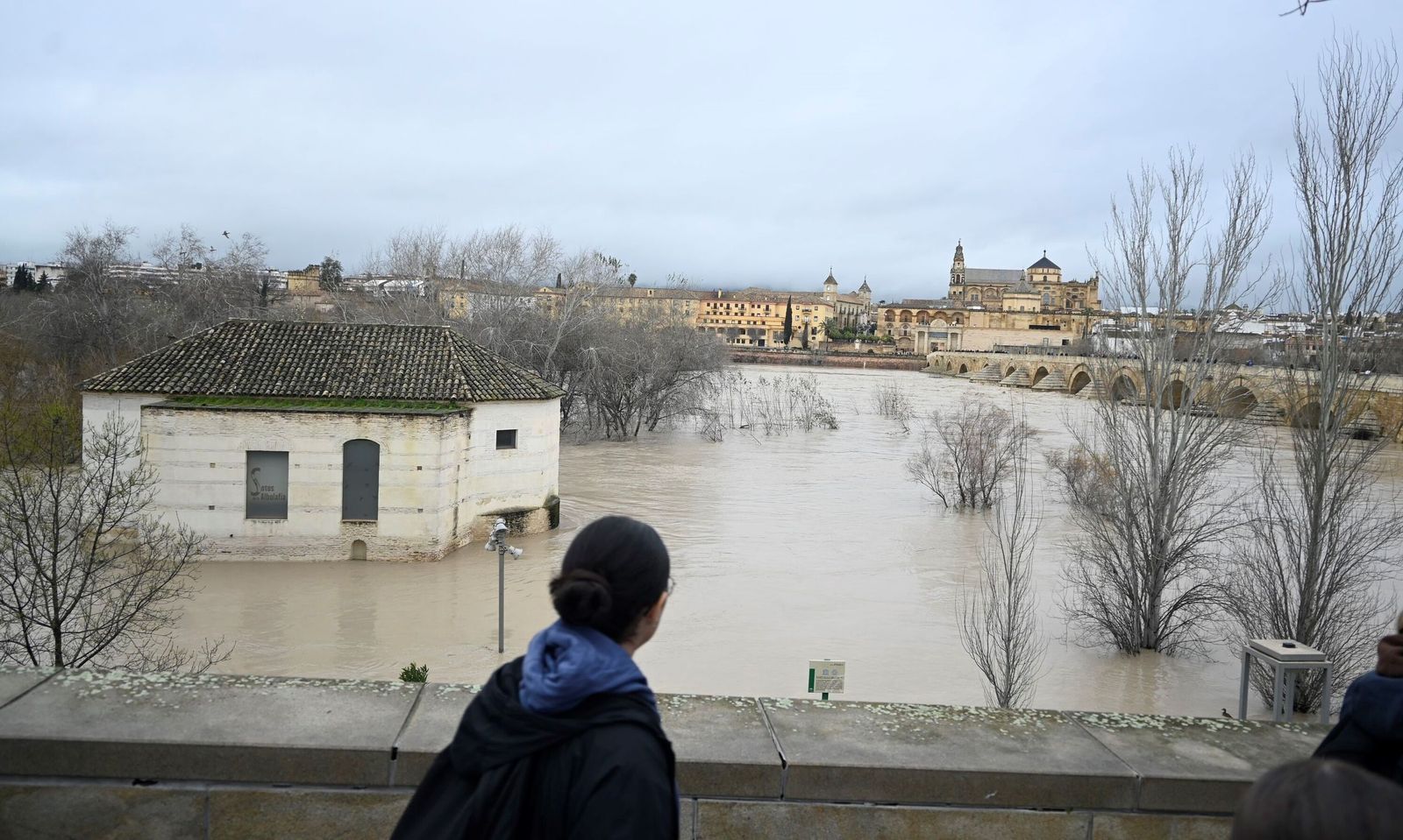 La impresionante crecida del río Guadalquivir: se acerca a los 6 metros a su paso por Córdoba