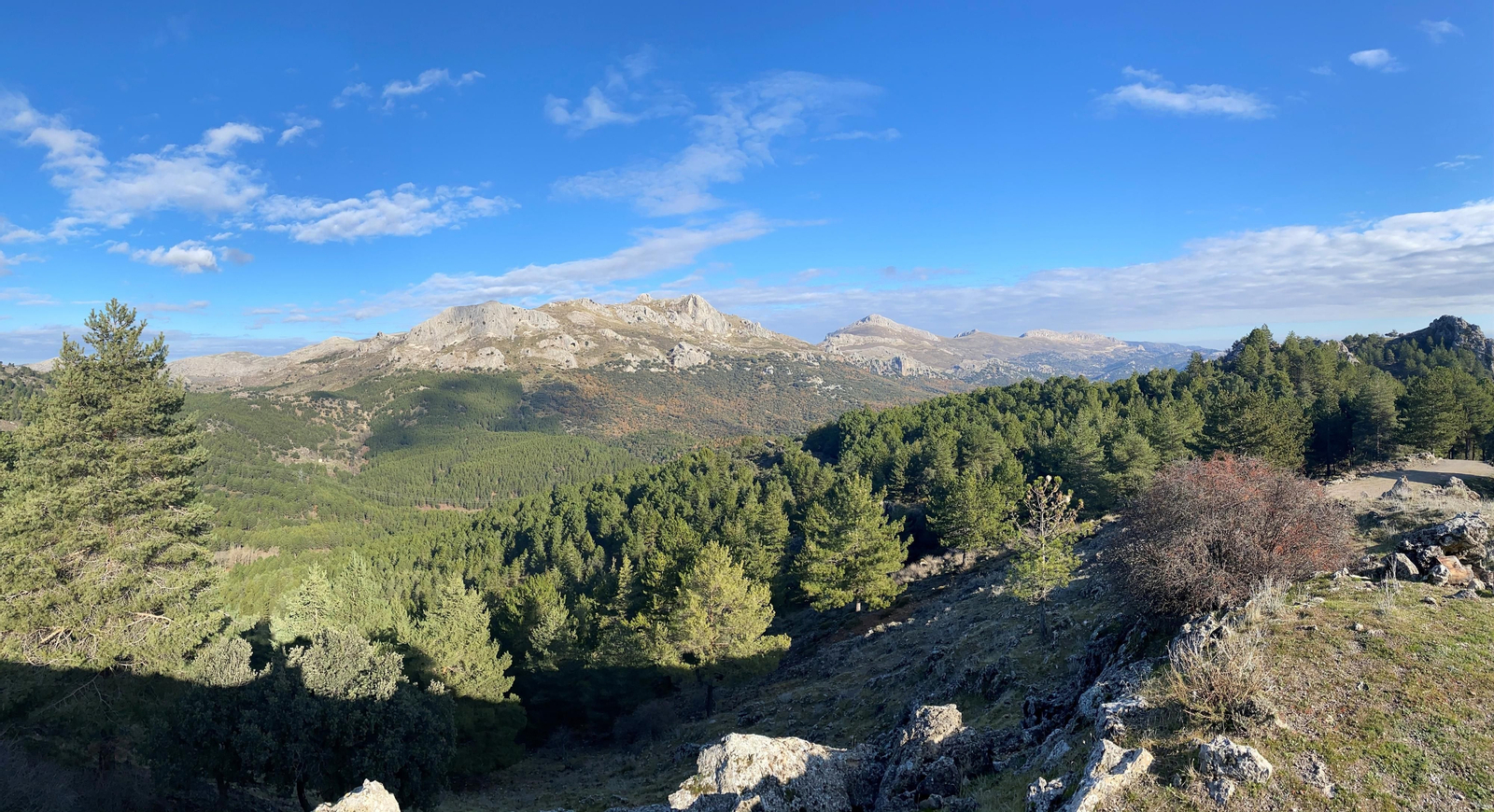 Mirador del cerro del corzo