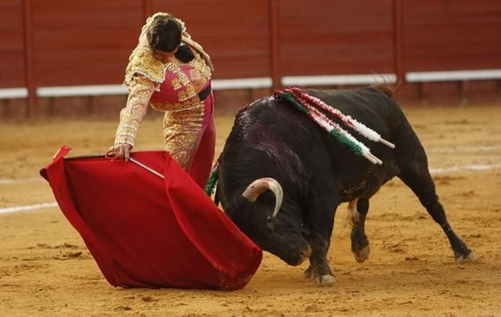 Foto: Juan Carlos Toro