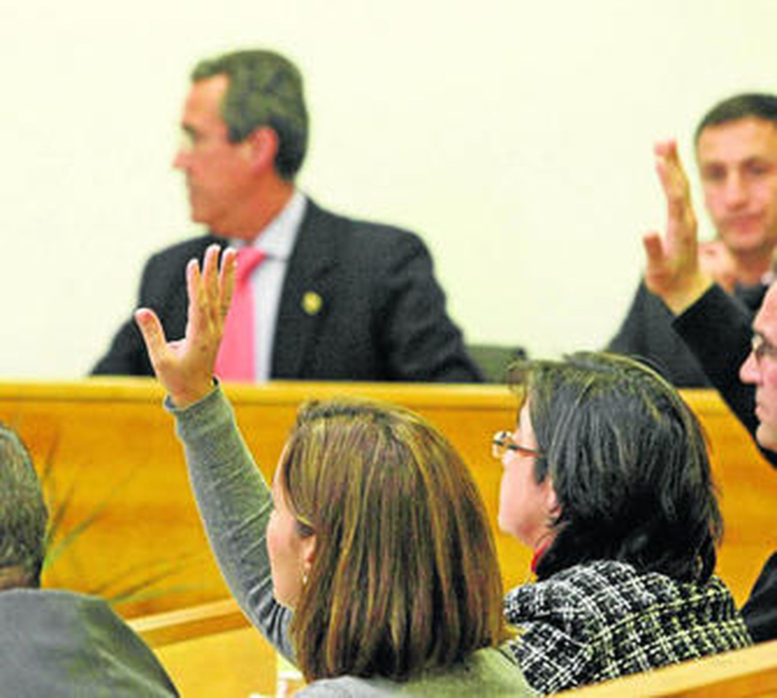 Ediles del PSOE votan la subida de precios con el PP y, al fondo, el presidente comarcal, Diego González.