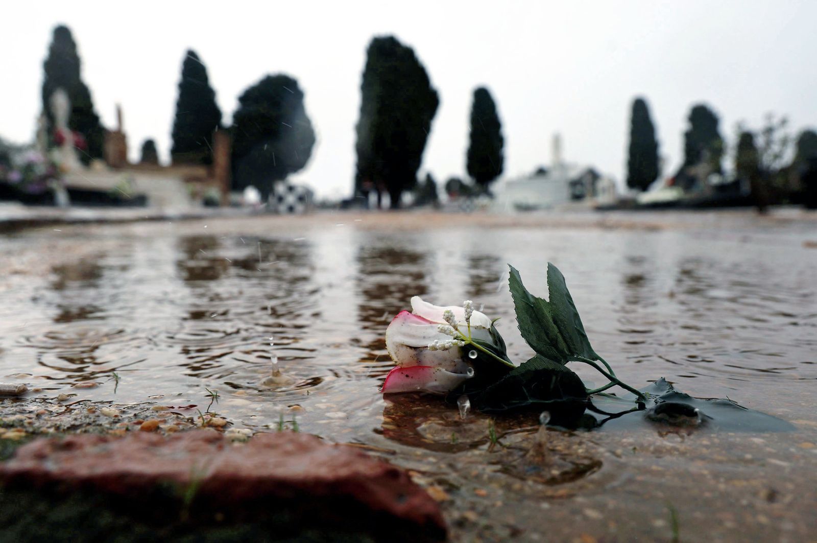 Las mejores imágenes del viernes 1 de noviembre en Huelva