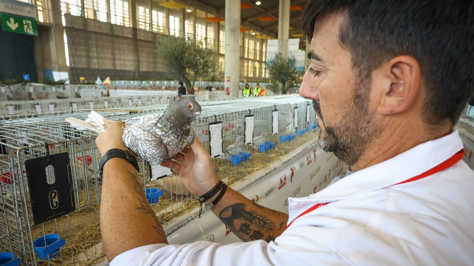 Fegasur Jerez 2023