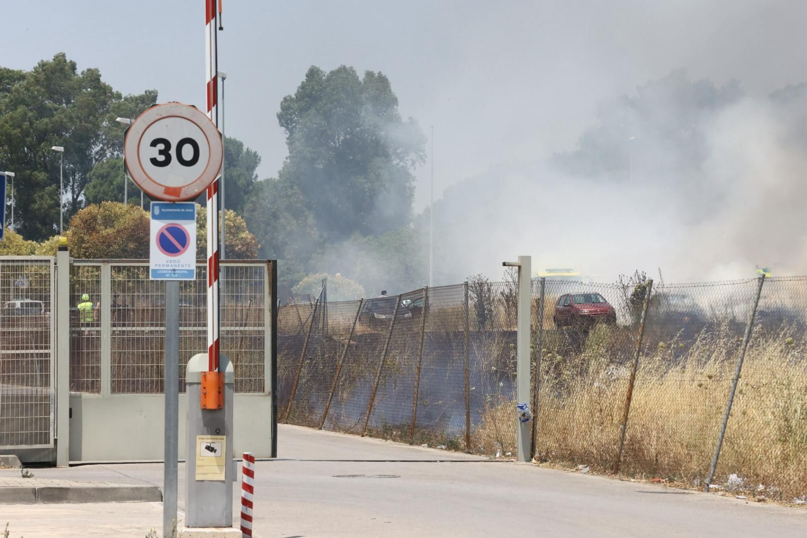 Incendio de pastos junto a la avenida de Espera en Jerez