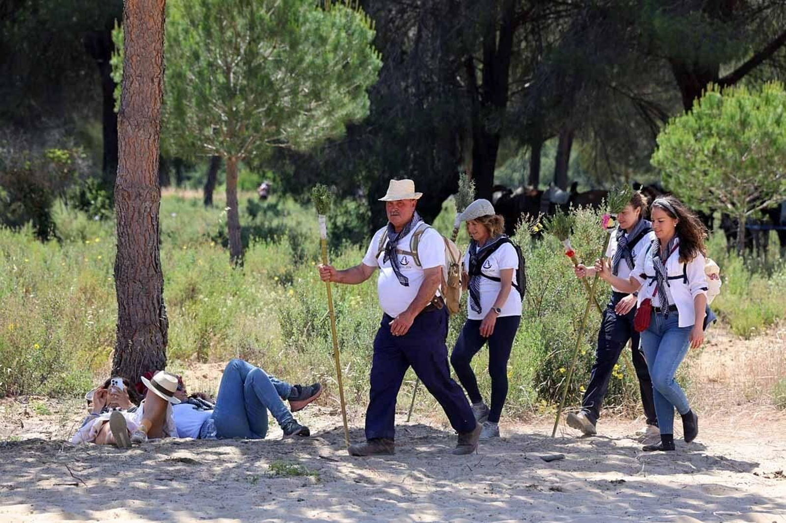 Las mejores imágenes de la Hermandad del Rocío de Huelva en el camino hacia El Rocío
