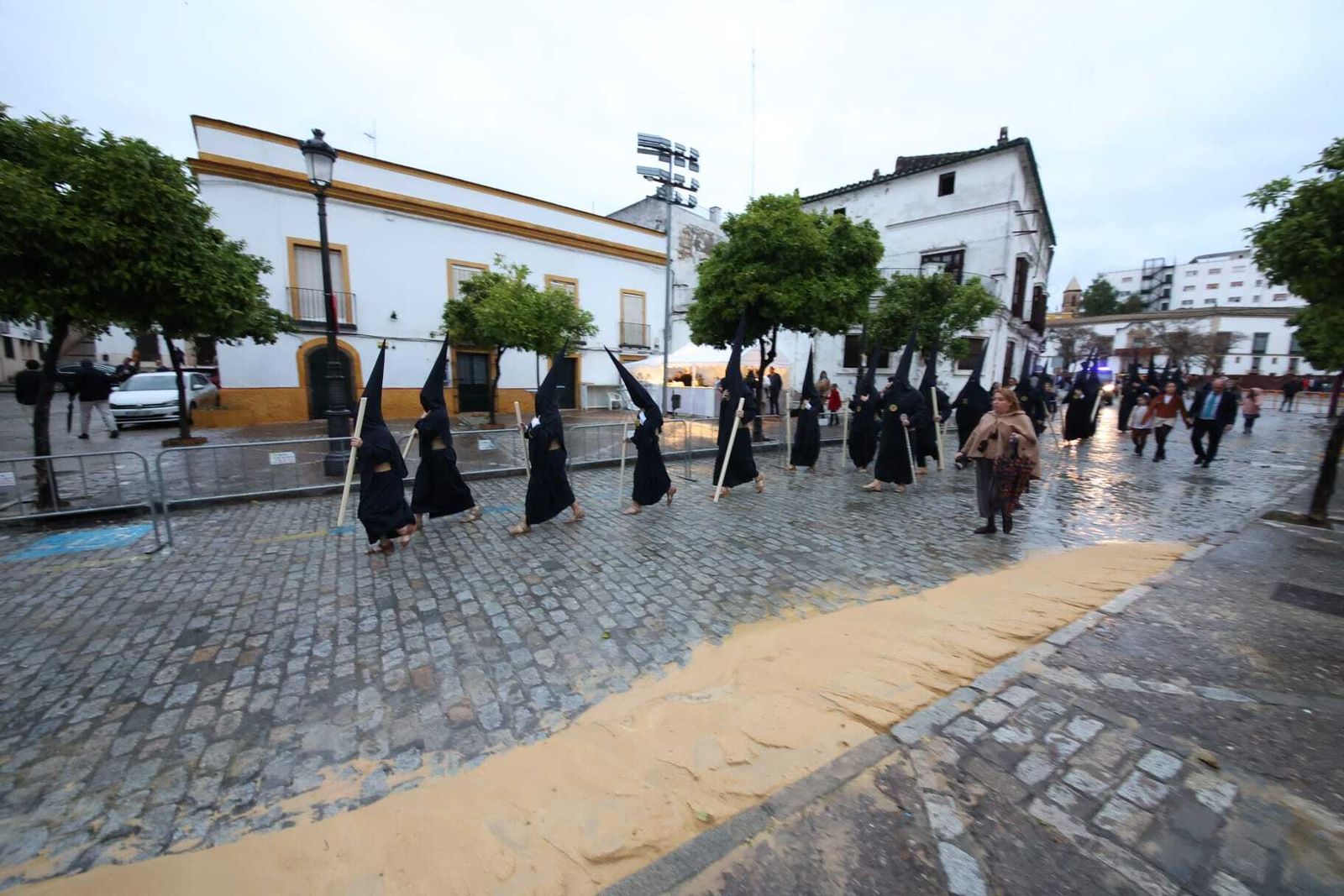Imágenes de la Hermandad de la Candelaria