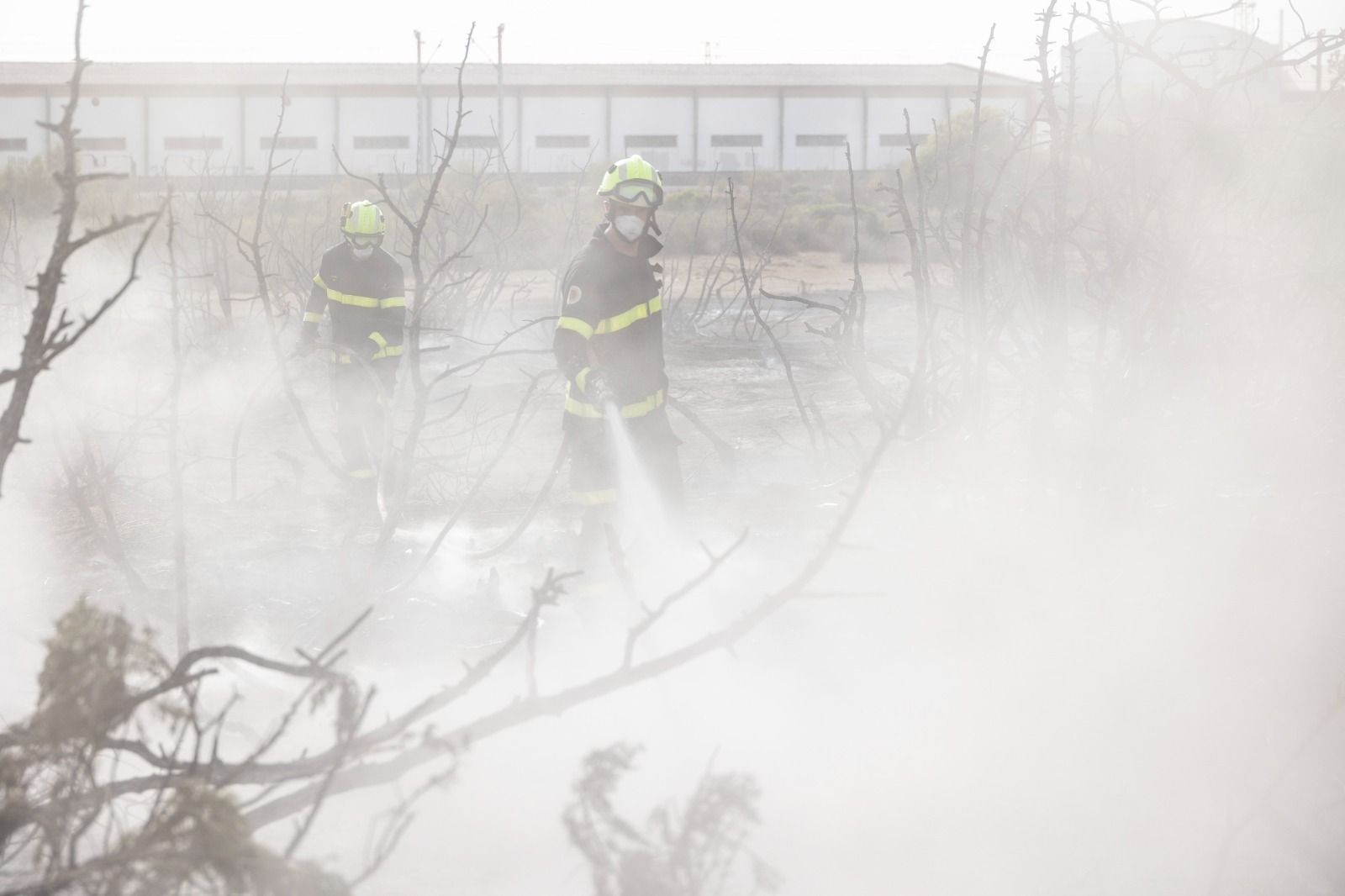 Imágenes del incendio en el Tiro Pichón