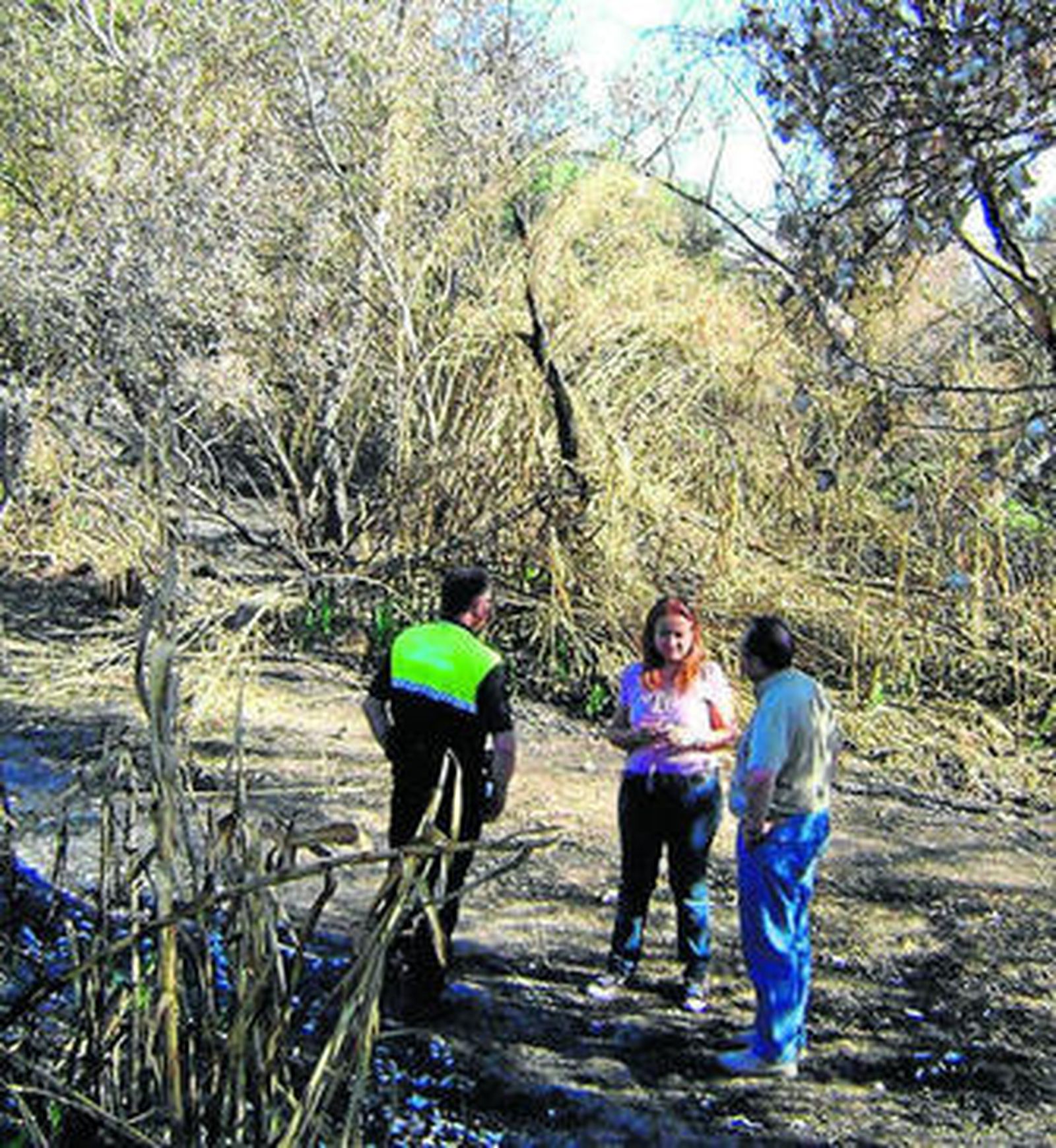 Zona de La Carraca incendiada la pasada semana en Puente Genil.