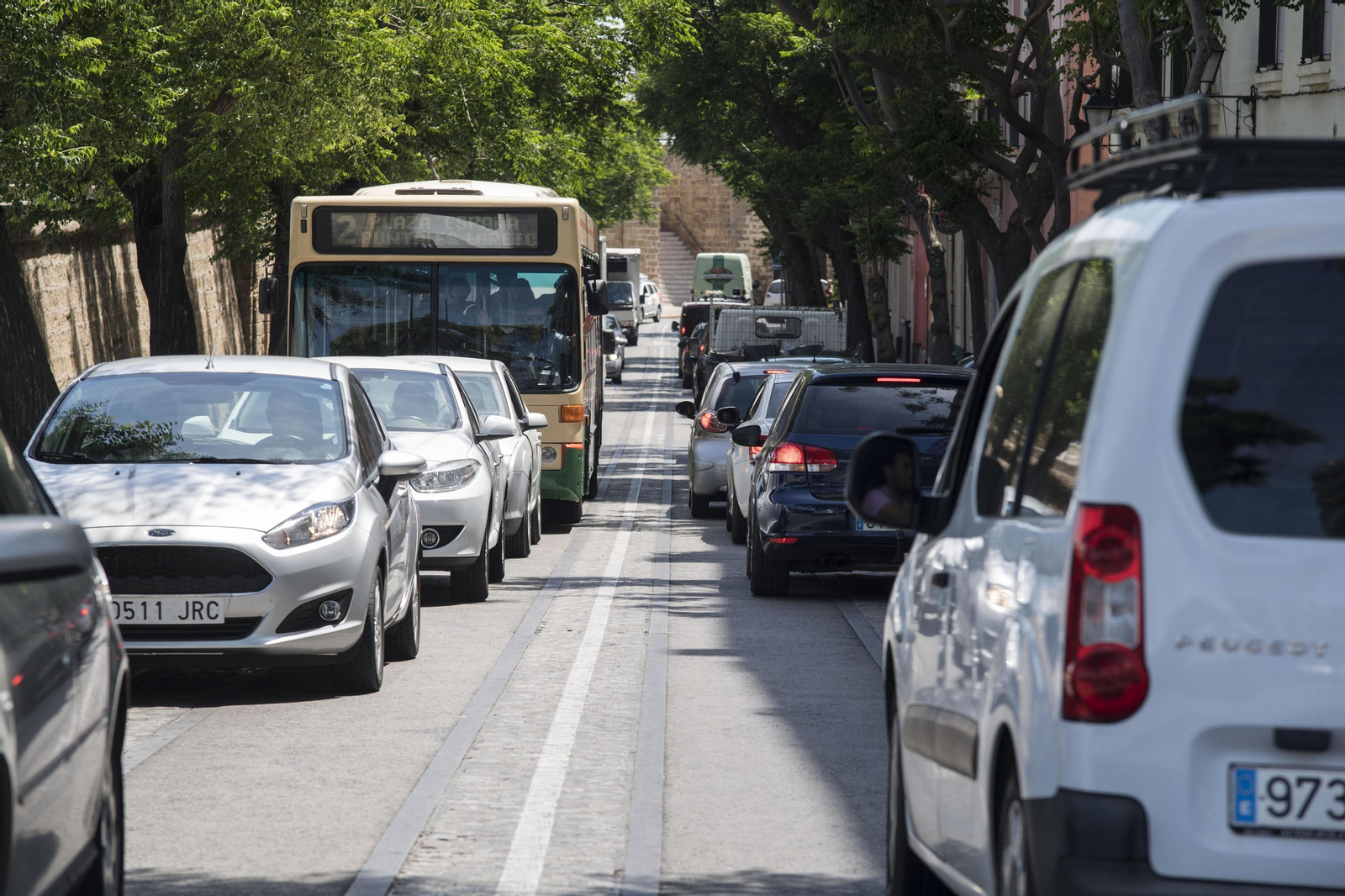 La Catedral, de cine