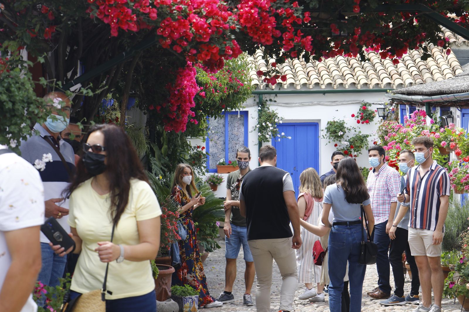 Fotografías: Sábado de colas y bulla en los Patios de Córdoba