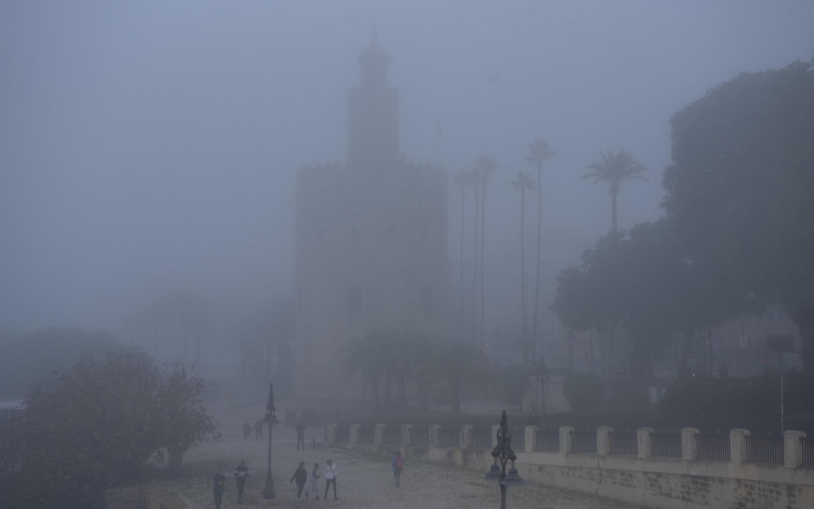 Las imágenes de la niebla en Sevilla