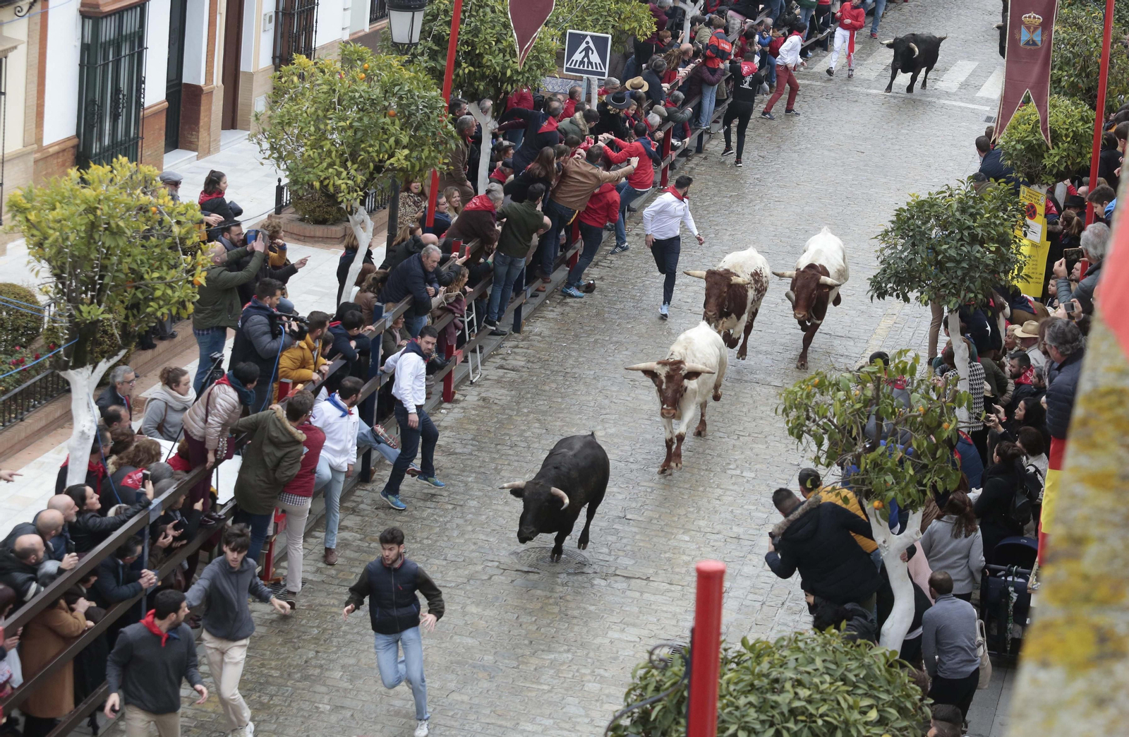 Las imágenes del encierro en La Puebla del Río