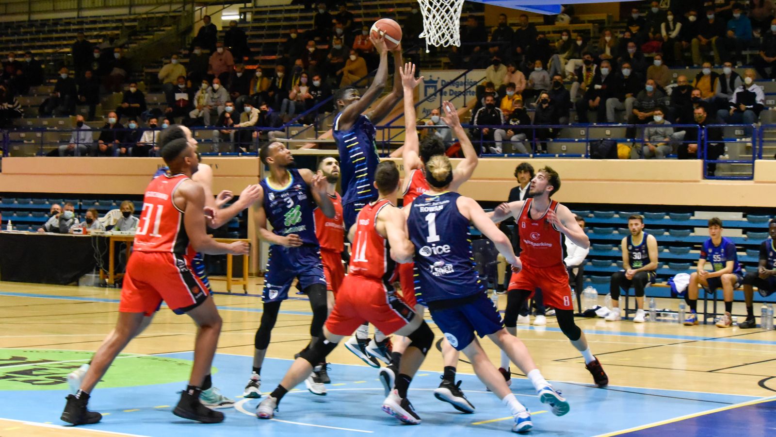 Las fotos del Udea Algeciras - Basket Navarra