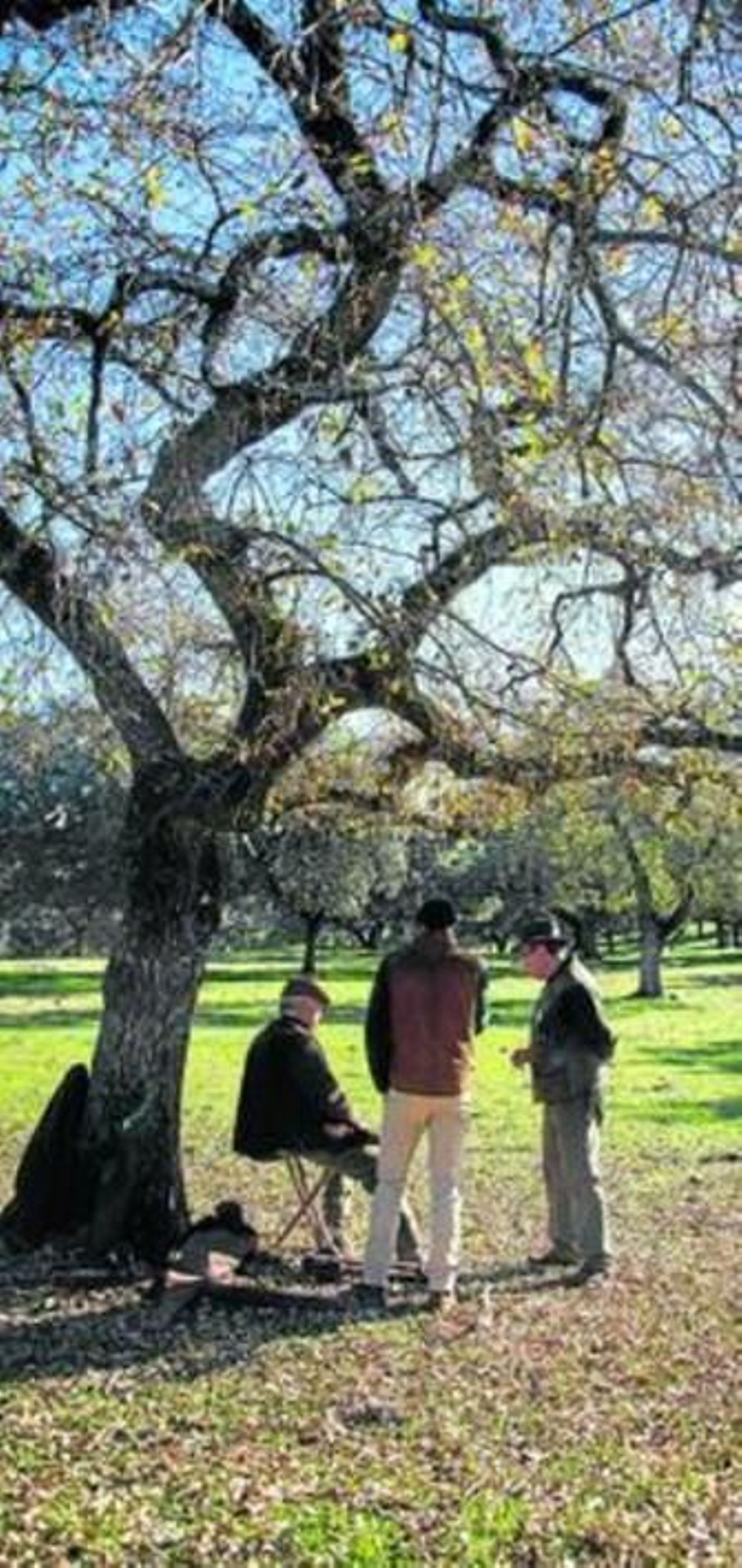 El otoño, la estación estrella de la actividad cinegética.
