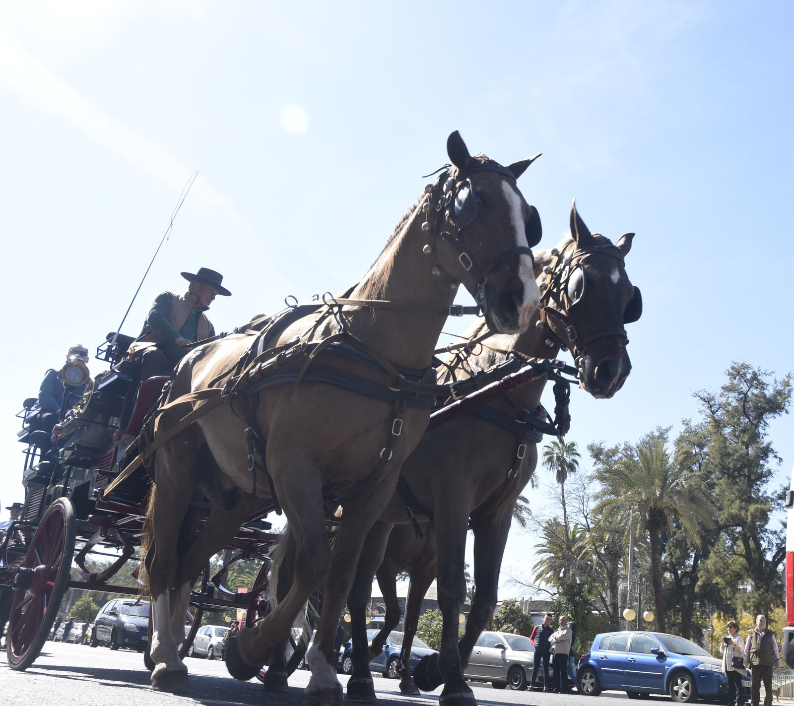 La marcha ecuestre de Córdoba por el Día de Andalucía, en imágenes