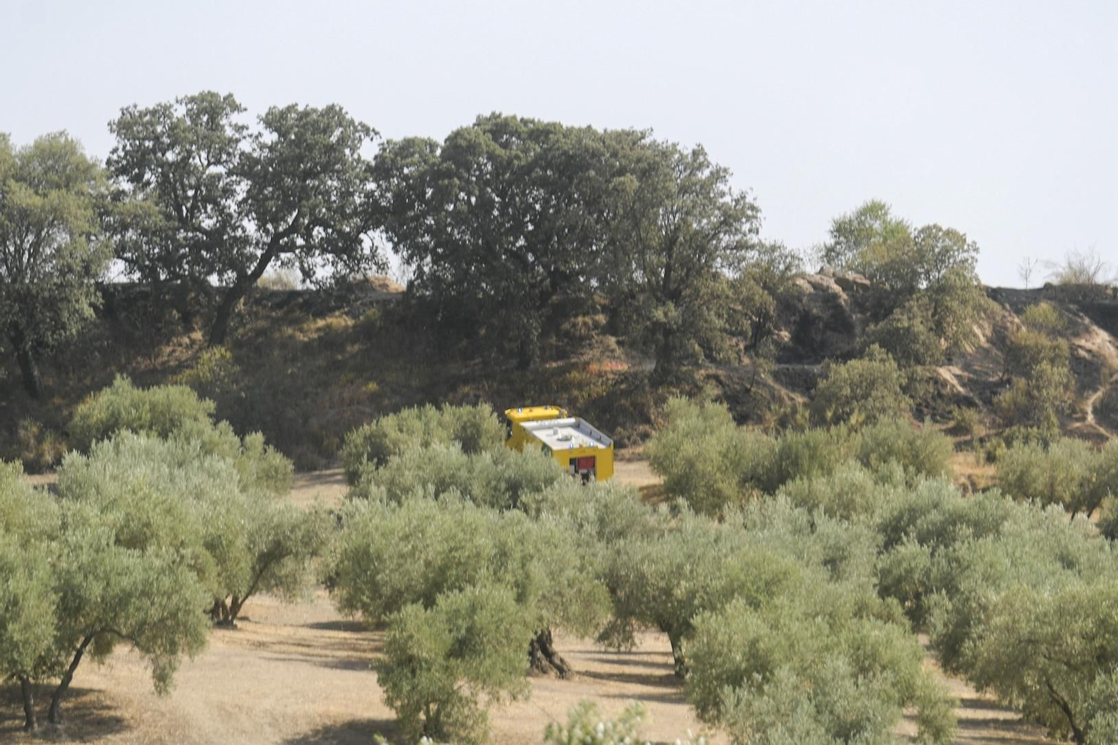Las mejores imágenes del despliegue del Infoca en un incendio forestal en Jun