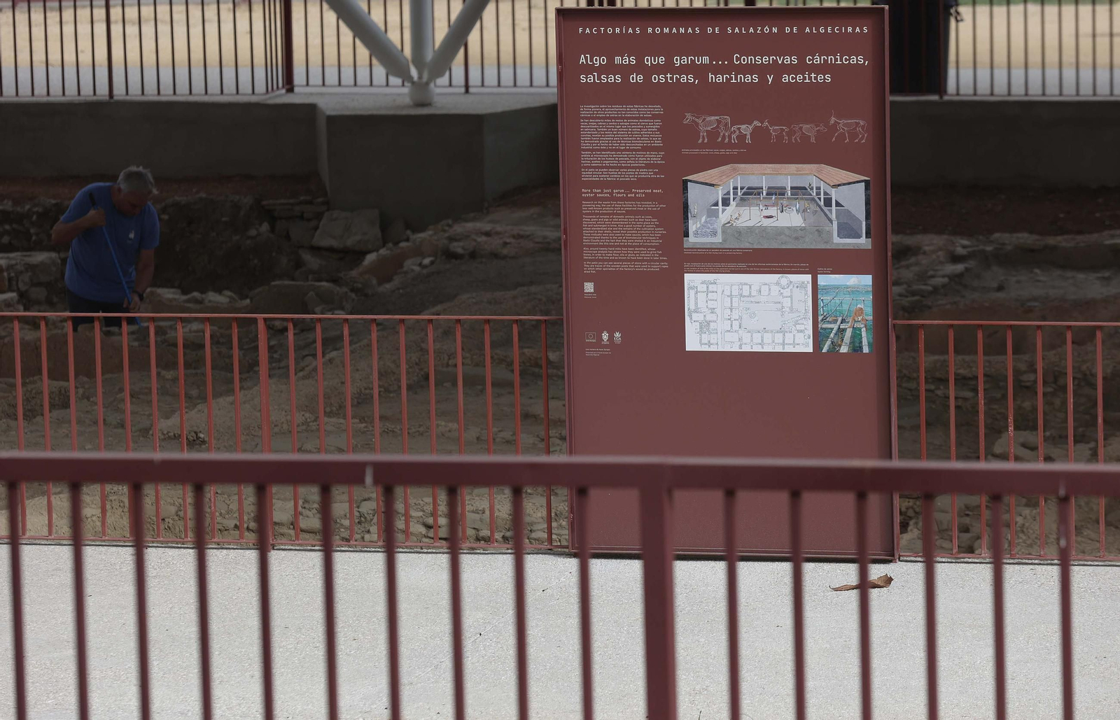 Fotos de la puesta apunto de las factorías de salazones romanas en Algeciras