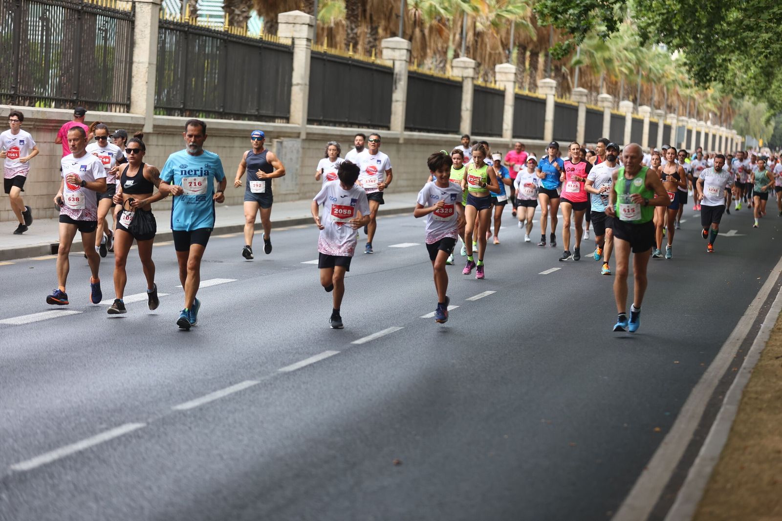 Las mejores fotos de la Carrera Ponle Freno en Málaga
