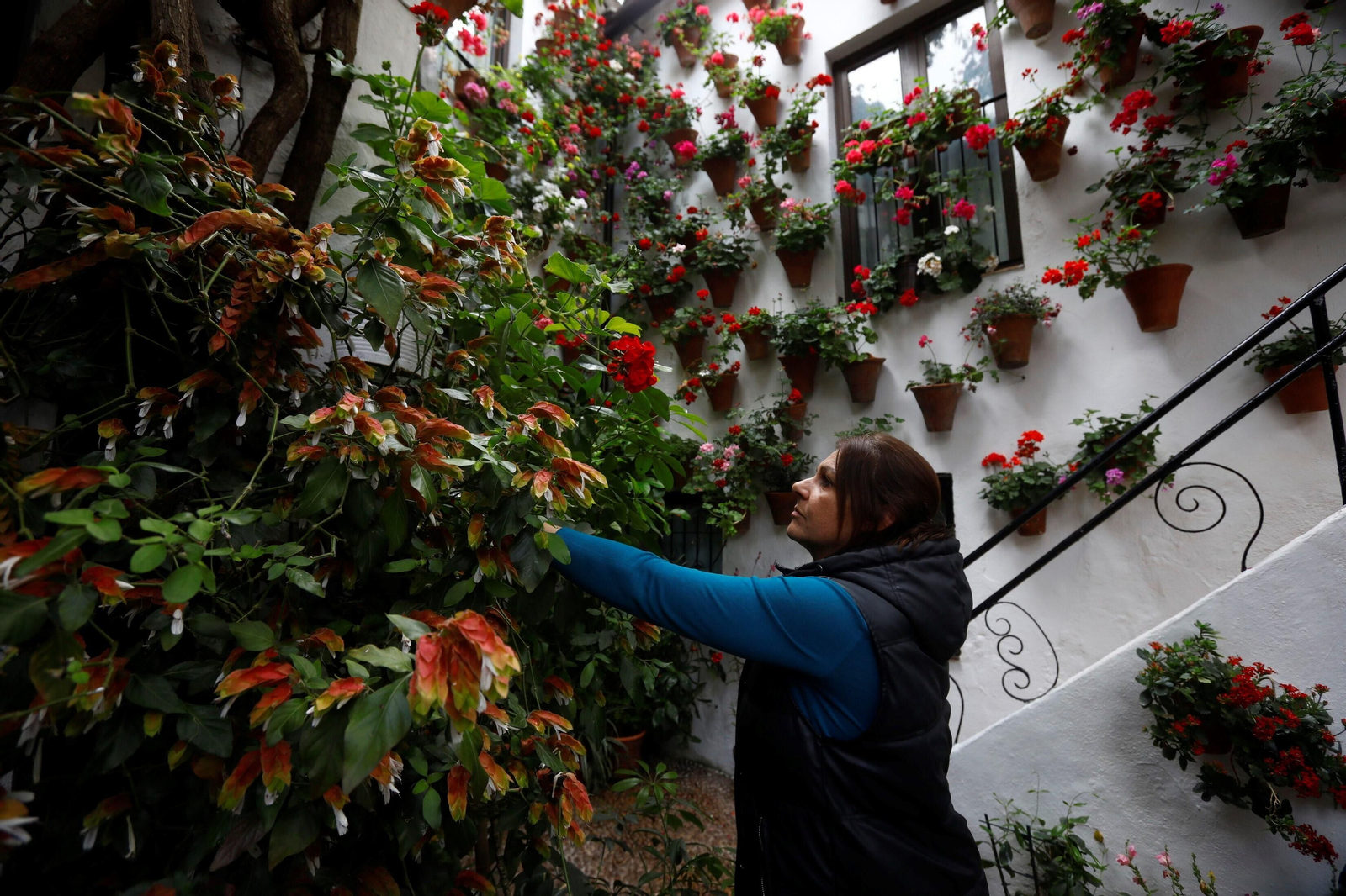 Los últimos preparativos en los Patios de Córdoba para el concurso, en imágenes