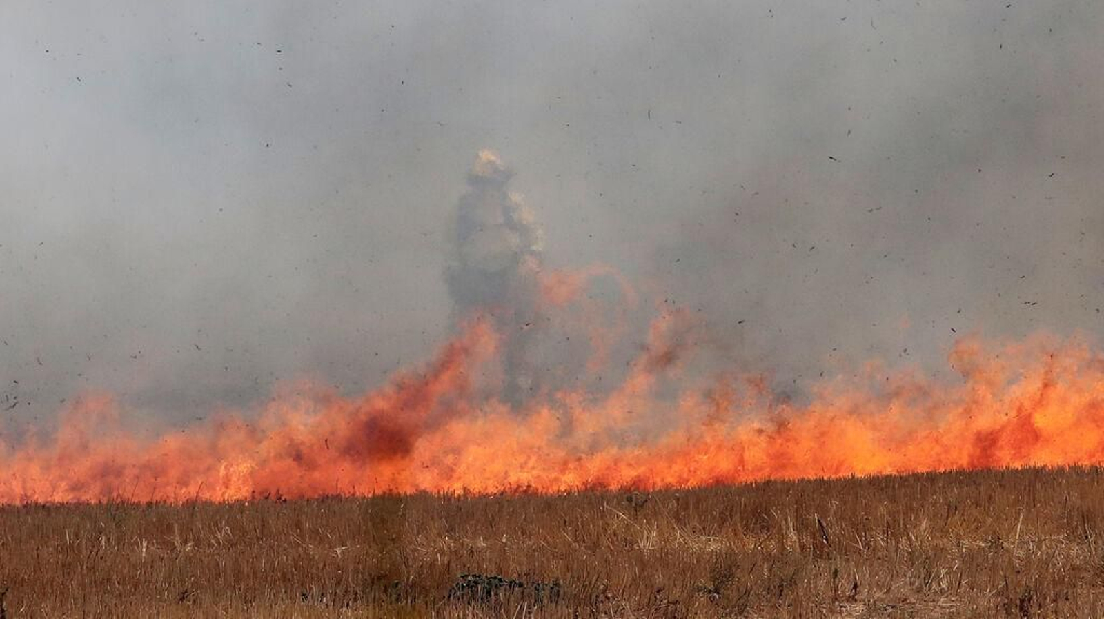 Grave incendio en la campiña de Jerez