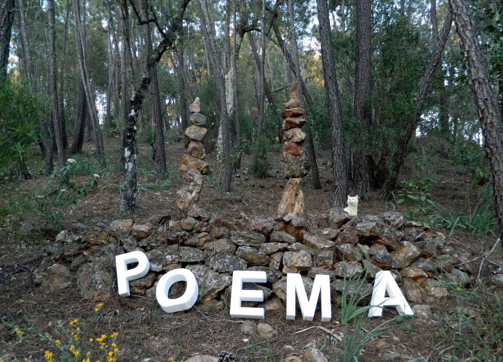 Proyecto de la asociación 'Valdearte' de la localidad de Valdearco, premiado por Diputación.