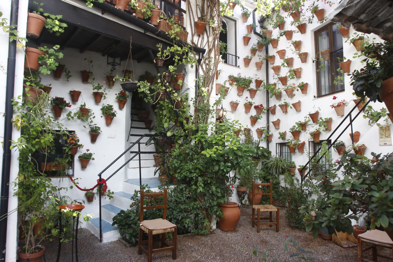 Las fotografías de los Patios de Córdoba en otoño