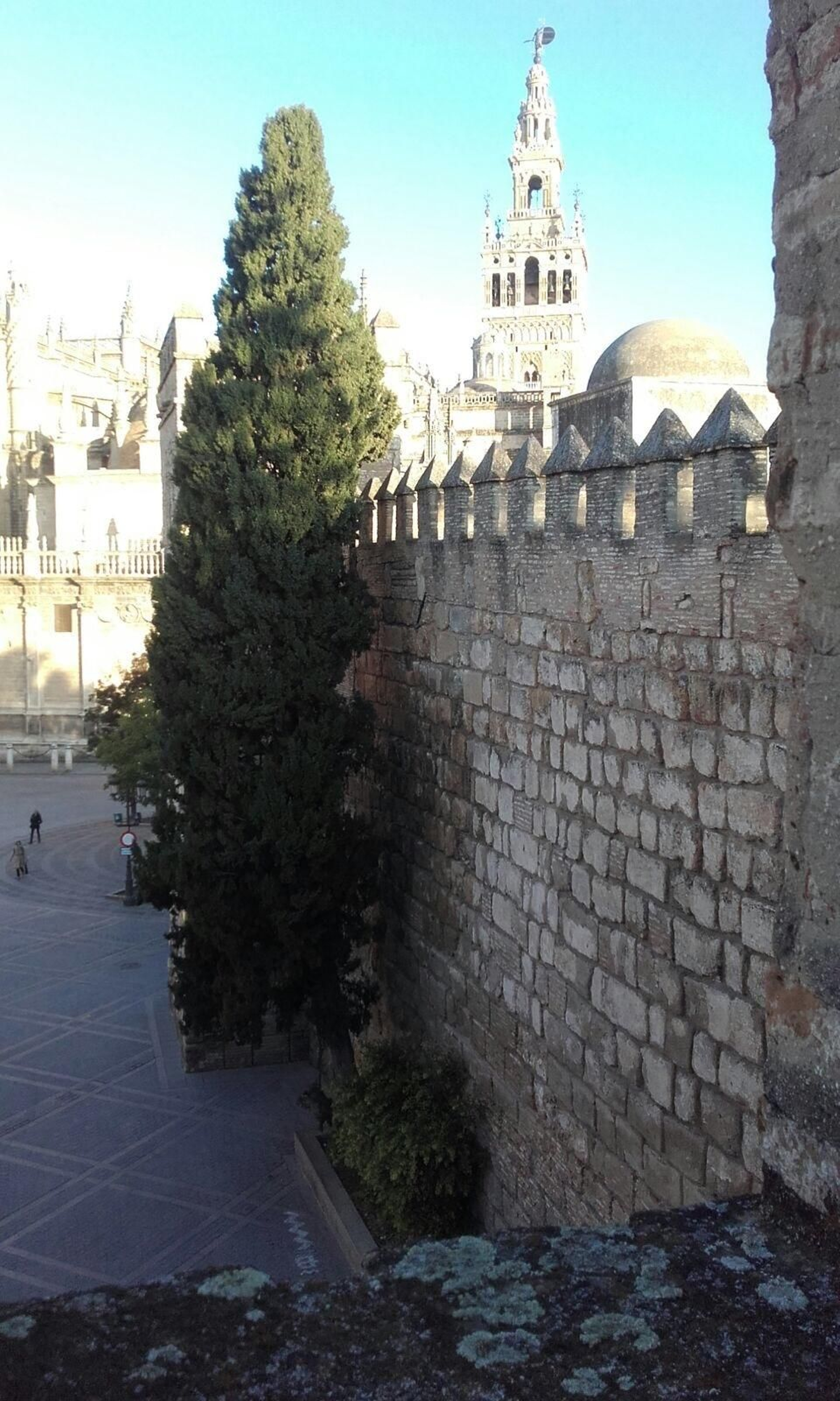 Vista de la Catedral y la Giralda desde las murallas.