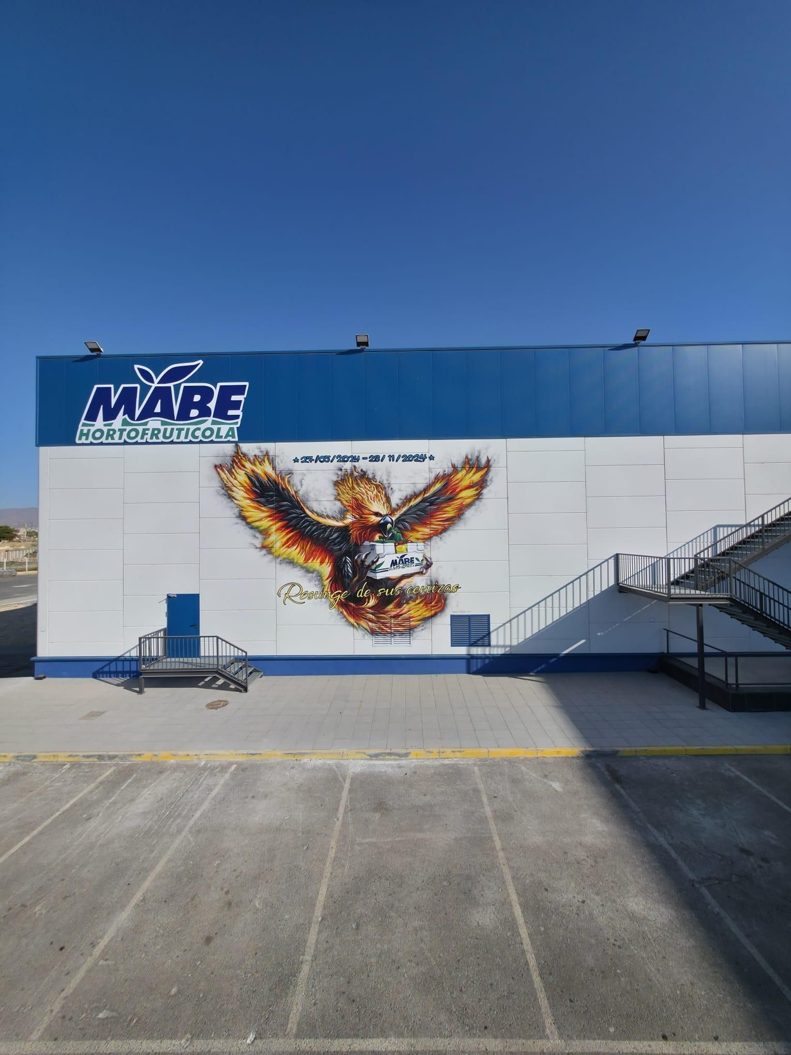 Preciosa imagen del grafiti del Ave Fénix.