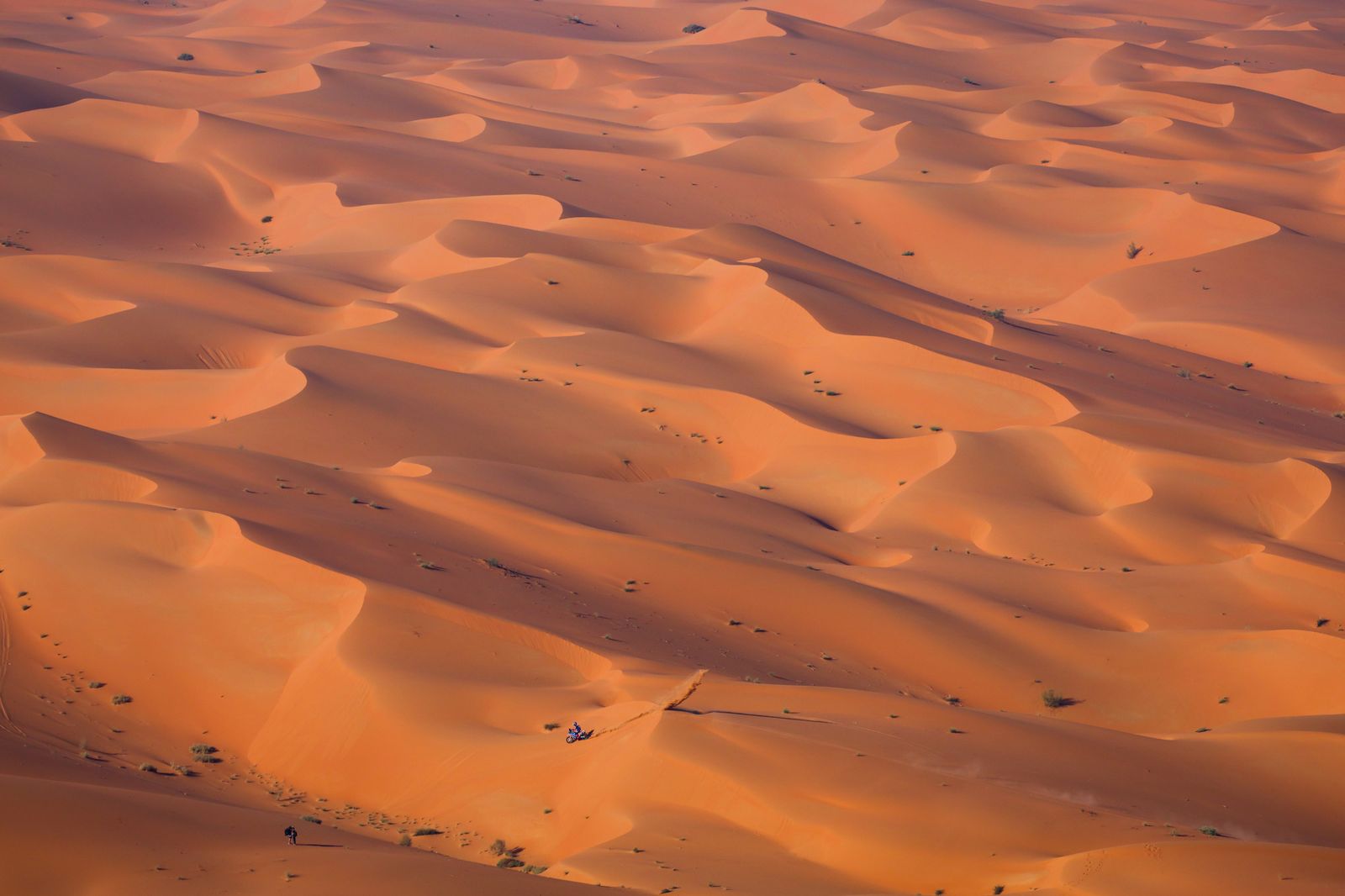Las mejores fotos del Dakar por las dunas