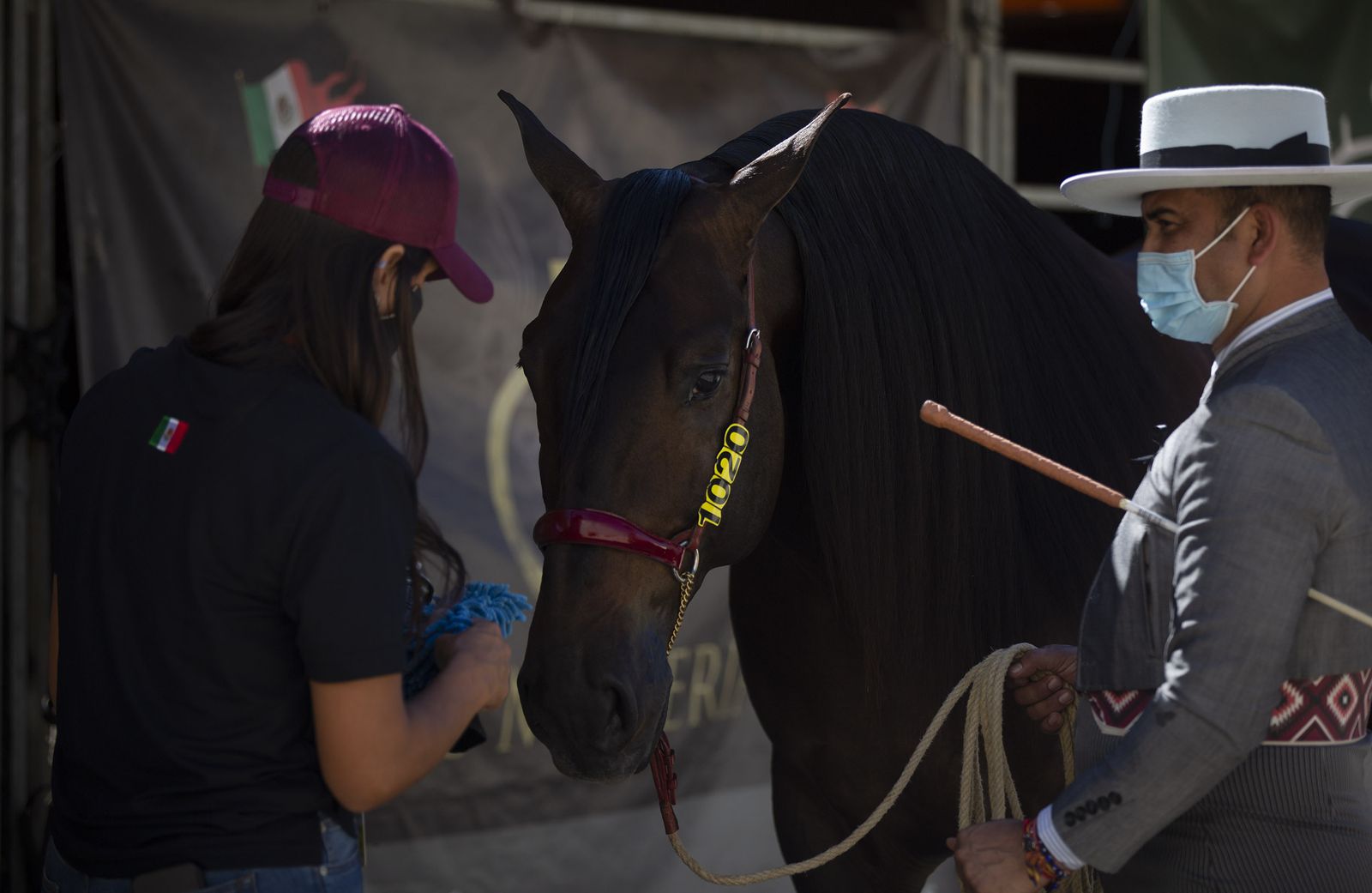 Imágenes de Sicab 2020 en la reanudación de las pruebas en Fibes
