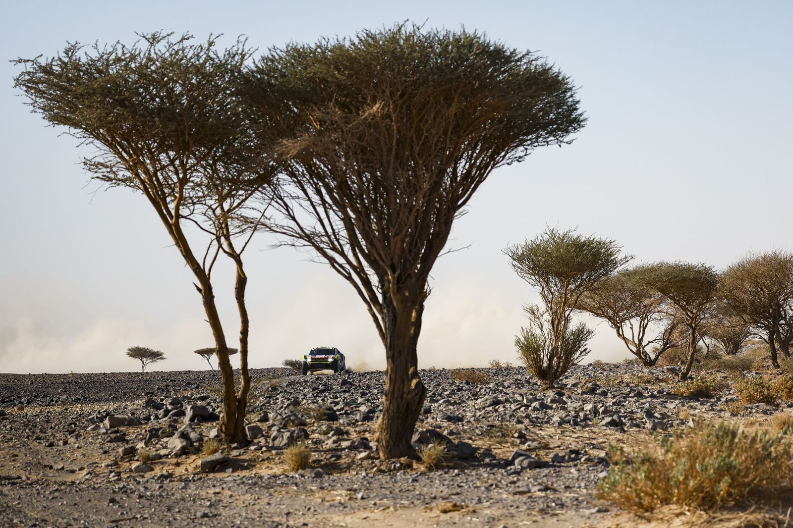 Las mejores fotos del Rally Dakar | Novena etapa