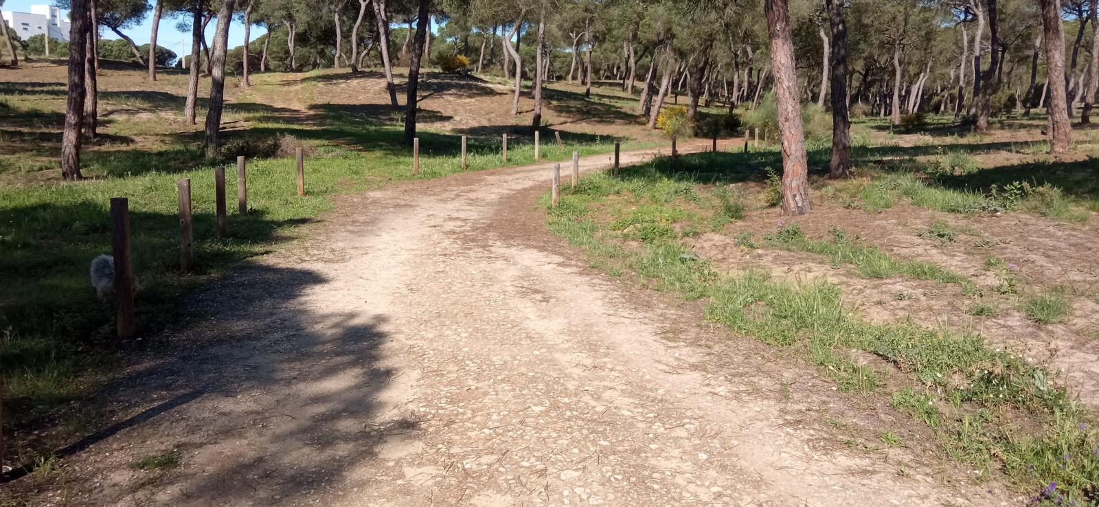 Las imágenes de la ruta de las salinas del Astur y los pinares de Punta Umbría