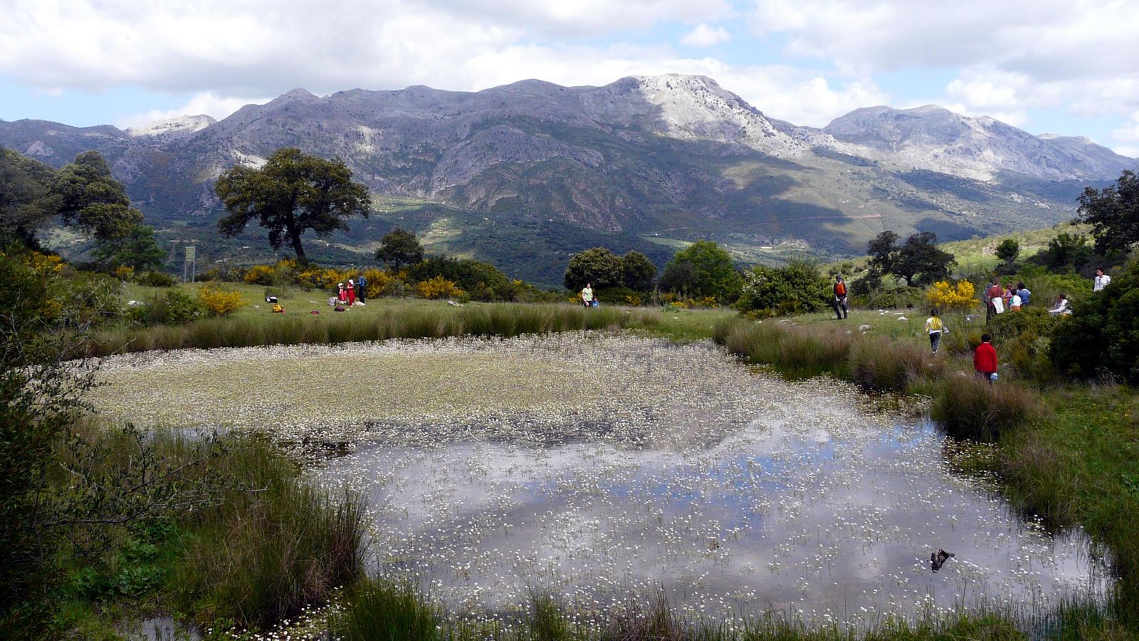La laguna Florida toma su nombre de los ranúnculos que aparecen en primavera sobre su superficie.