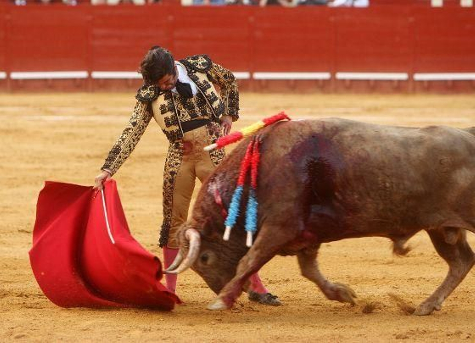 El diestro José Antonio "Morante de la Puebla" protagoniza una actuación magistral, en el cuarto festejo de la Feria del Caballo de Jerez, al cortar dos orejas, que pudieron ser más de haber estado más acertado con los aceros. 

Foto: Juan Carlos Toro