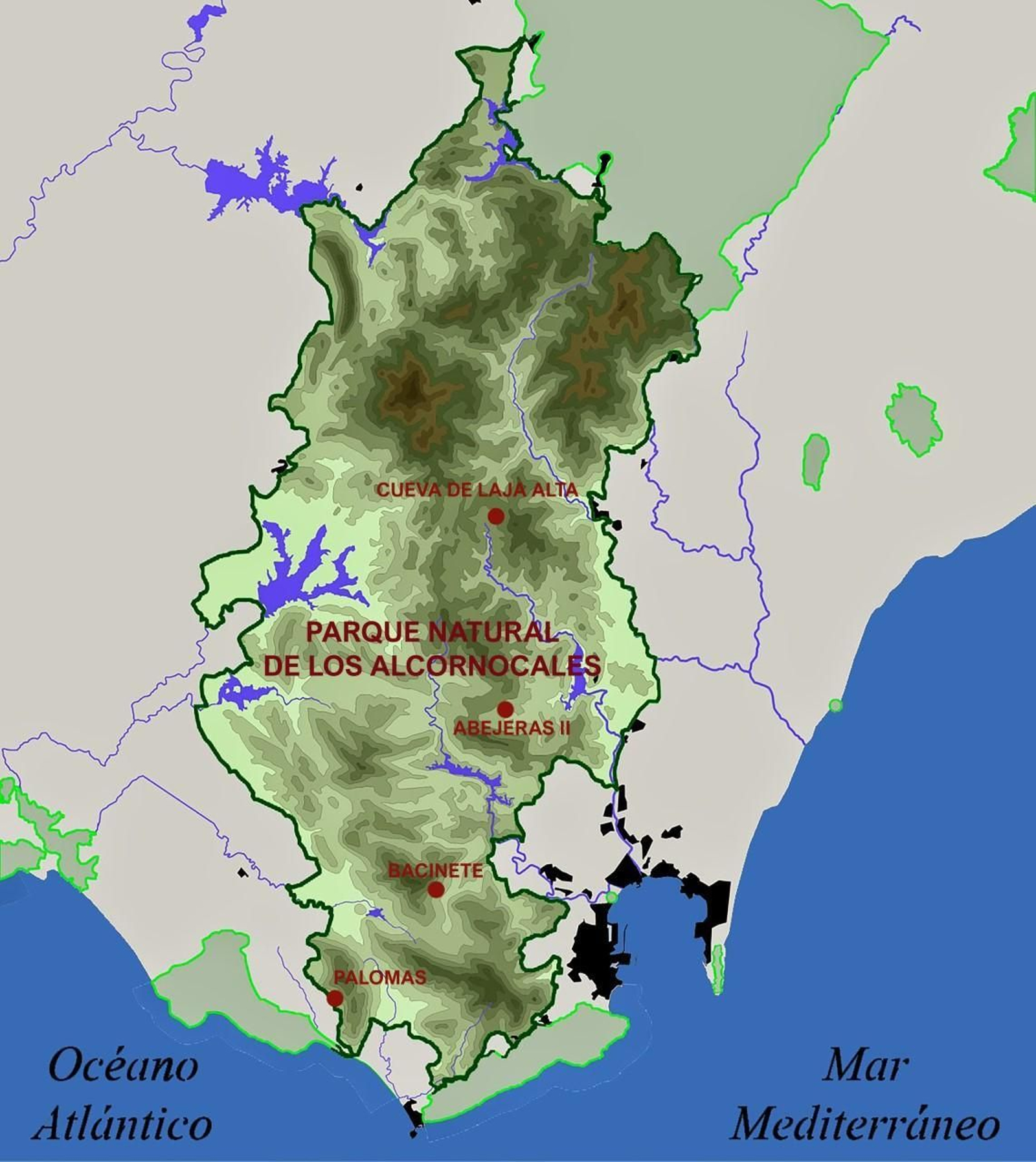 Parque Natural de los Alcornocales.