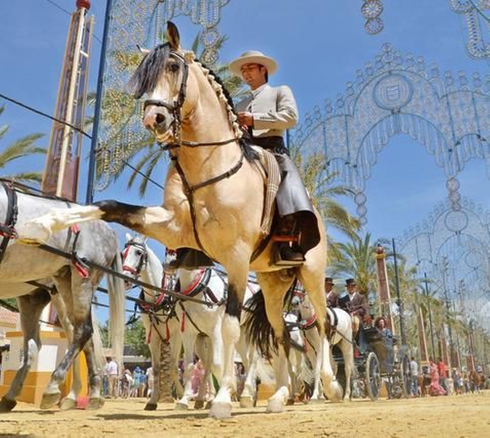 A buen paso. Una imagen diferente del paseo de caballos del Real. 

Foto: Manuel Aranda