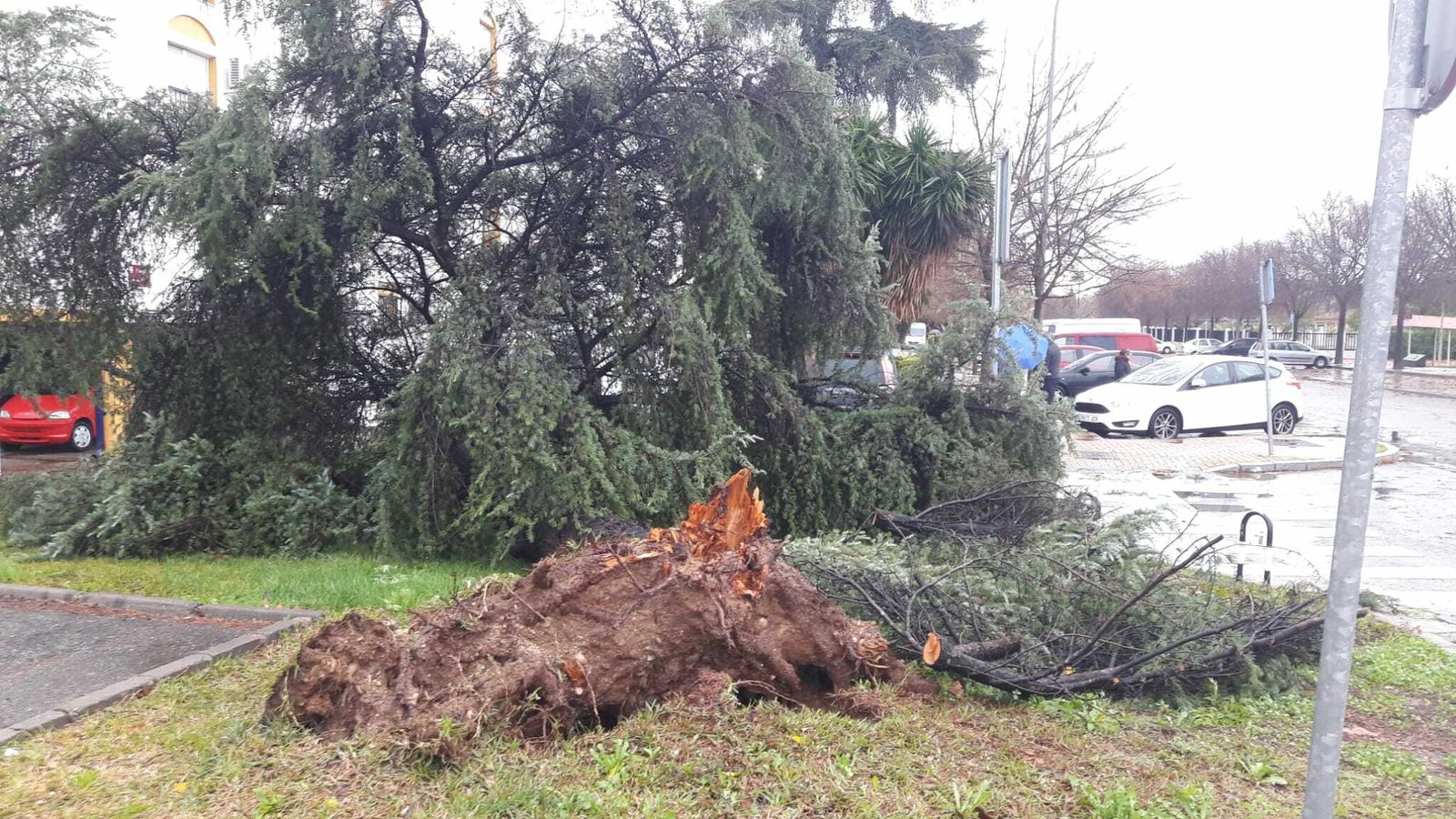 El paso del temporal 'Elsa' por la provincia de Córdoba