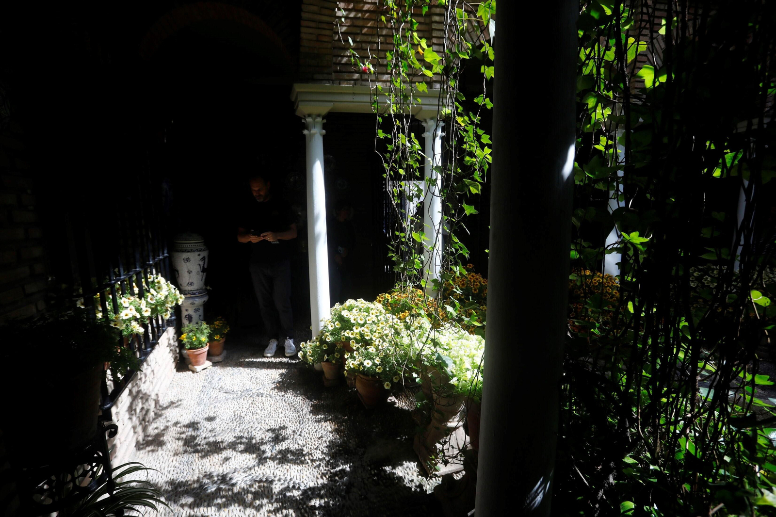 Los patios de Córdoba de la ruta Judería-San Francisco, en imágenes