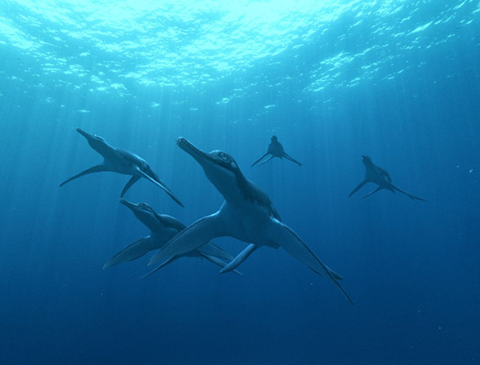 Monstruos marinos en el Museo de Historia de Nueva York
