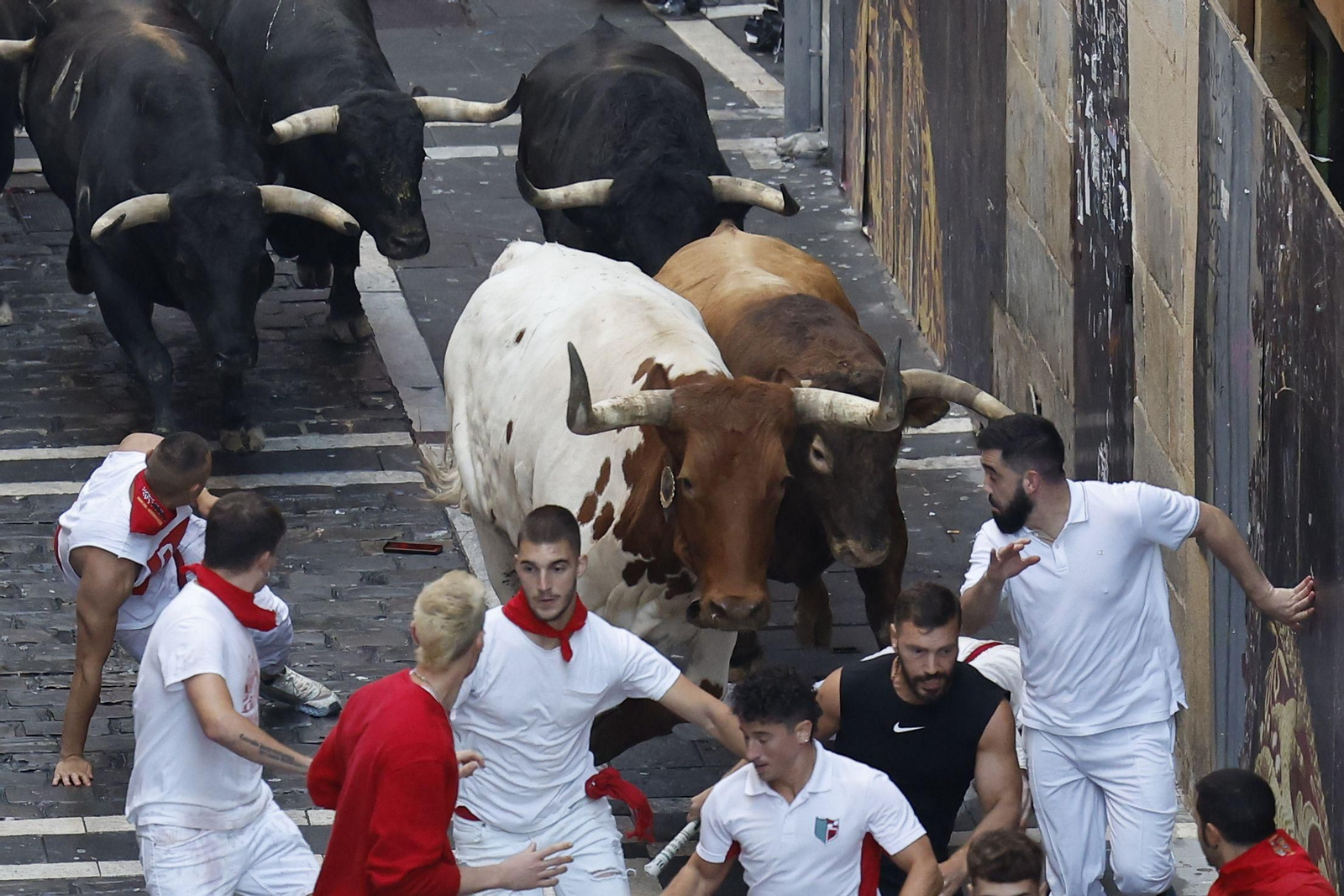 La bravura de Tarifa se hace notar en Pamplona: tres heridos en un encierro con toros de La Palmosilla