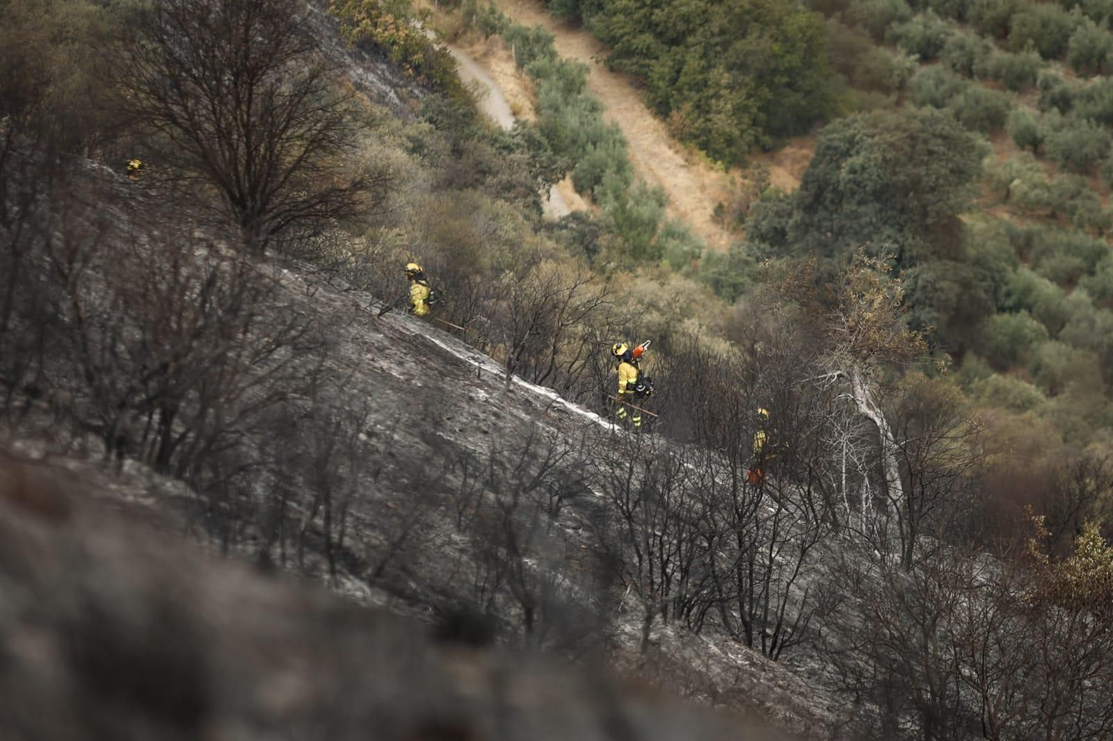 Las imágenes de la Fuente de la Bicha de Granada tras las llamas