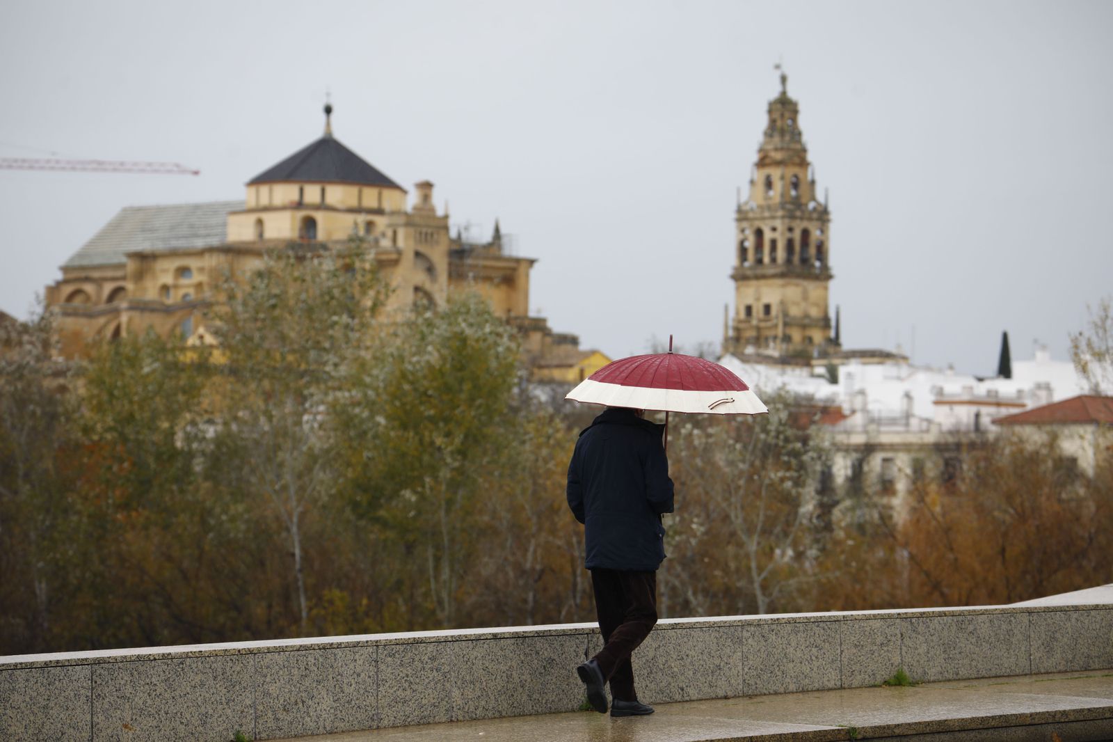 Las fotografías del paso de la borrasca Filomena por Córdoba