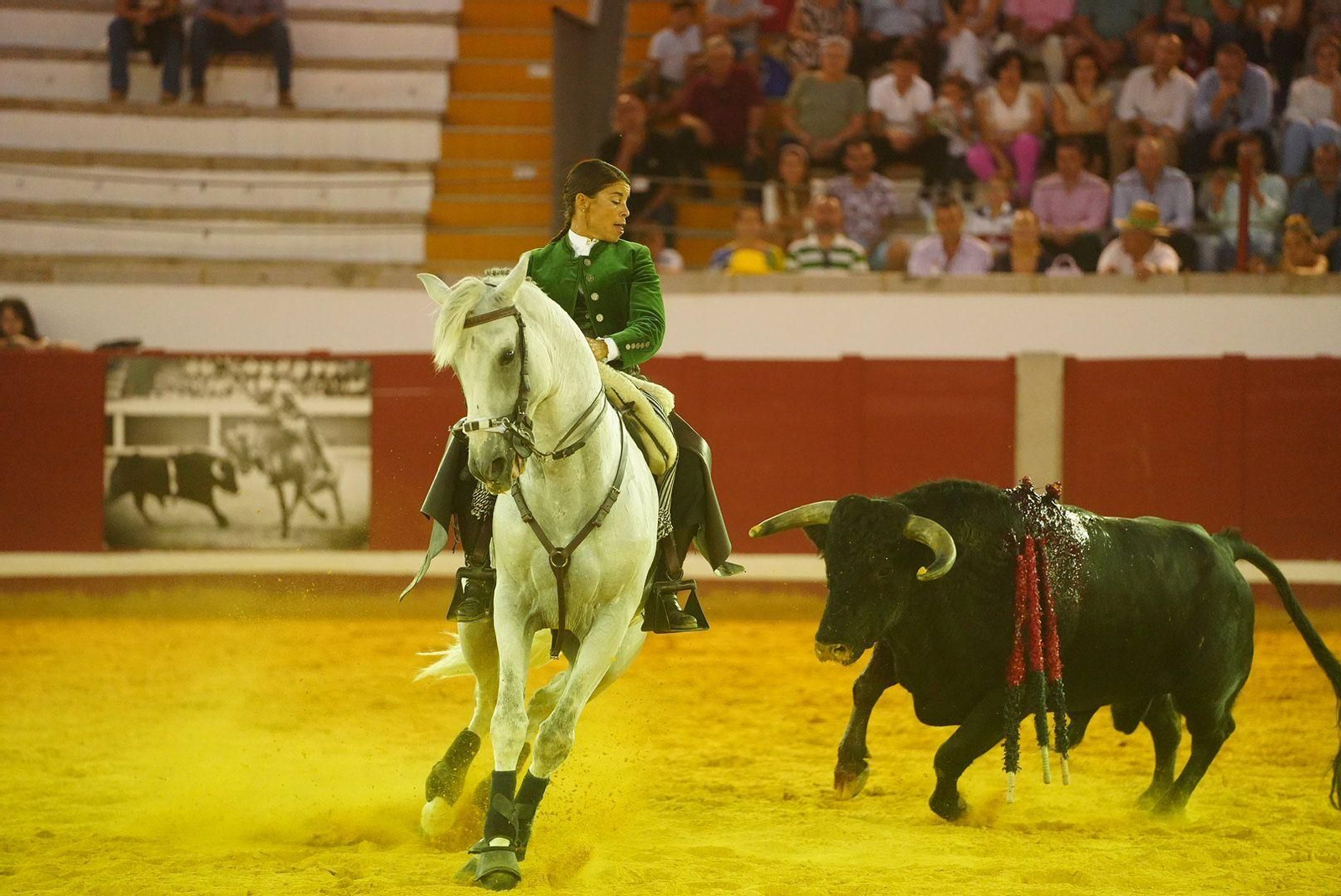 Las mejores fotos de la faena triunfal de Andy Cartagena, Leonardo y Lea Vicens en Pozoblanco Las mejores fotos de la faena triunfal de Andy Cartagena, Leonardo y Lea Vicens en Pozoblanco