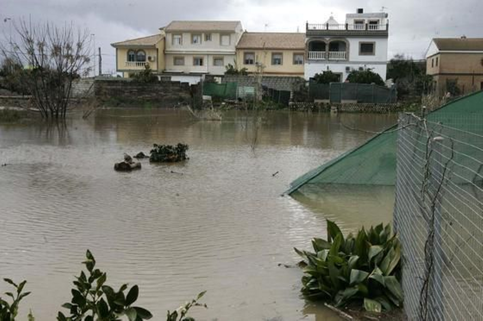 La crecida del río Gualdaquivir inunda algunas zonas de la provincia.