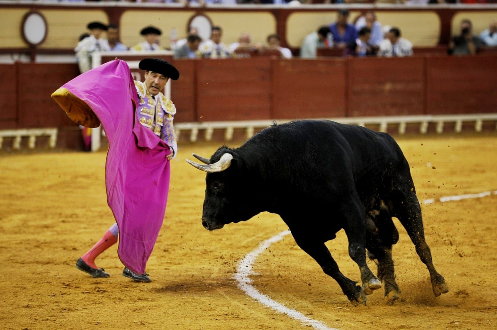 Imágenes de la despedida de Enrique Ponce en la plaza de toros de El Puerto