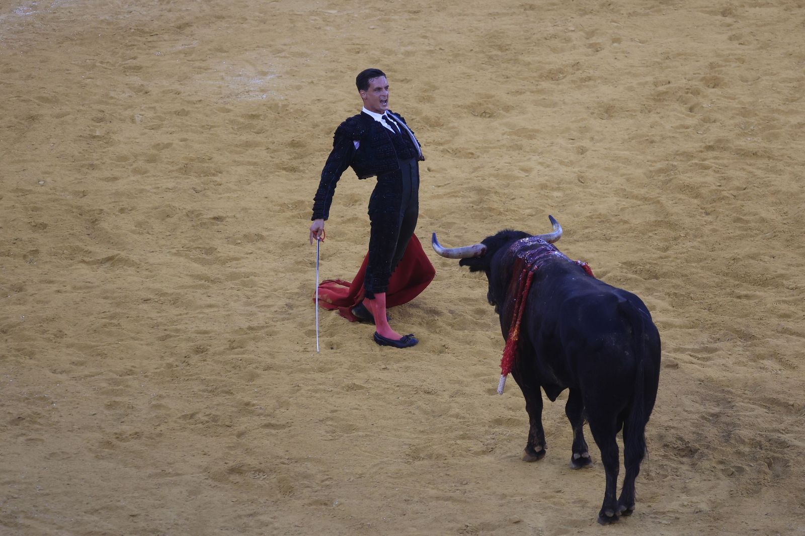 Fotos de la corrida de toros de la Feria de San Roque con David Galván, Román y Joaquín Galdós