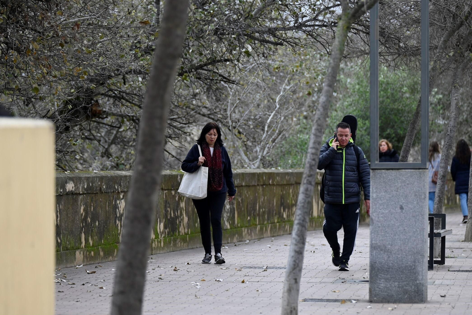 Un paseo en imágenes por la Ribera de Córdoba una gélida mañana