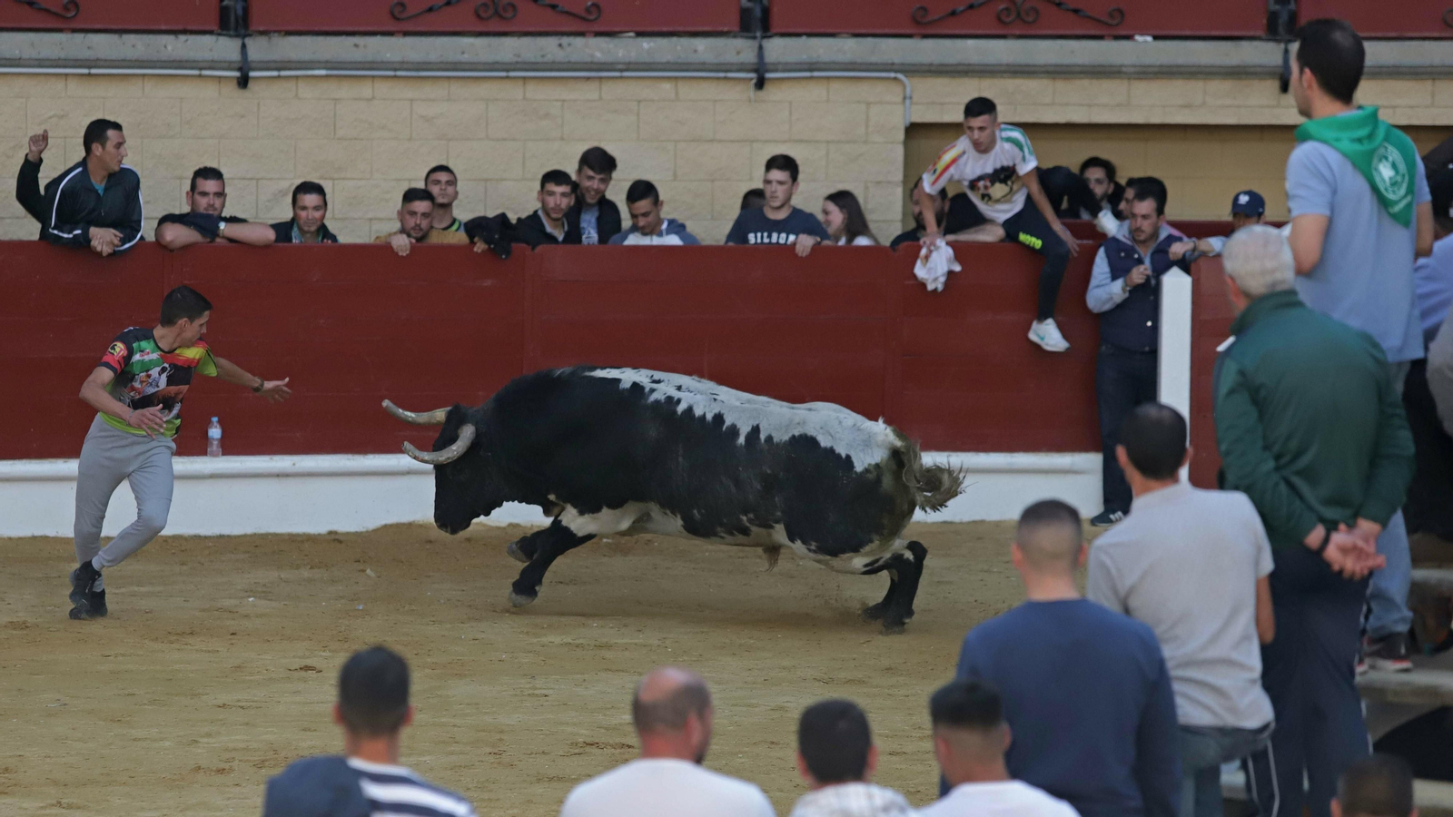 Toro de la Víspera en Los Barrios