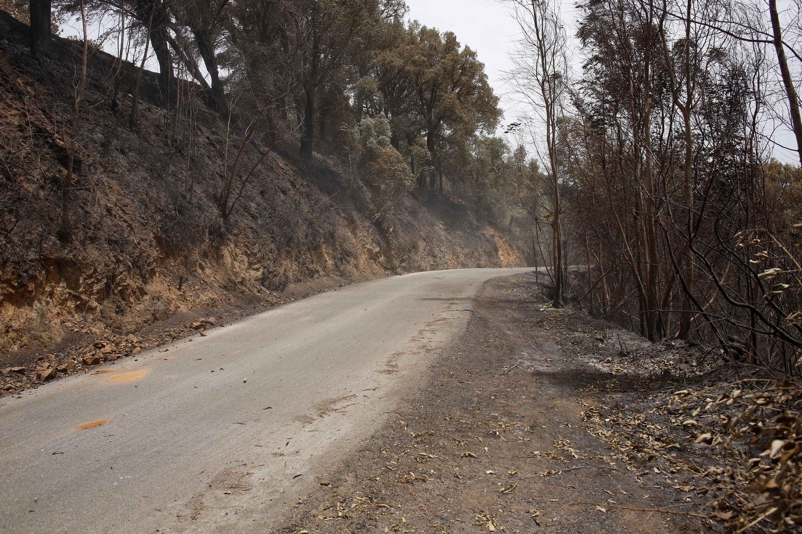 El incendio de Sierra Bermeja una semana después, en fotos