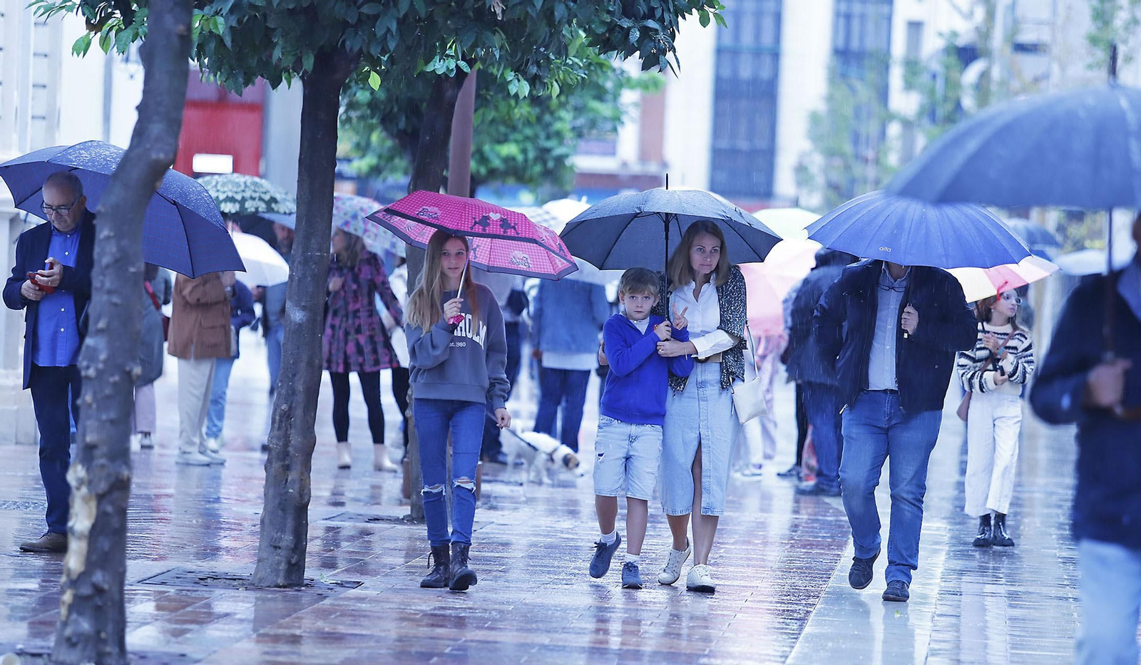 Imágenes de la mañana lluviosa de domingo en Huelva