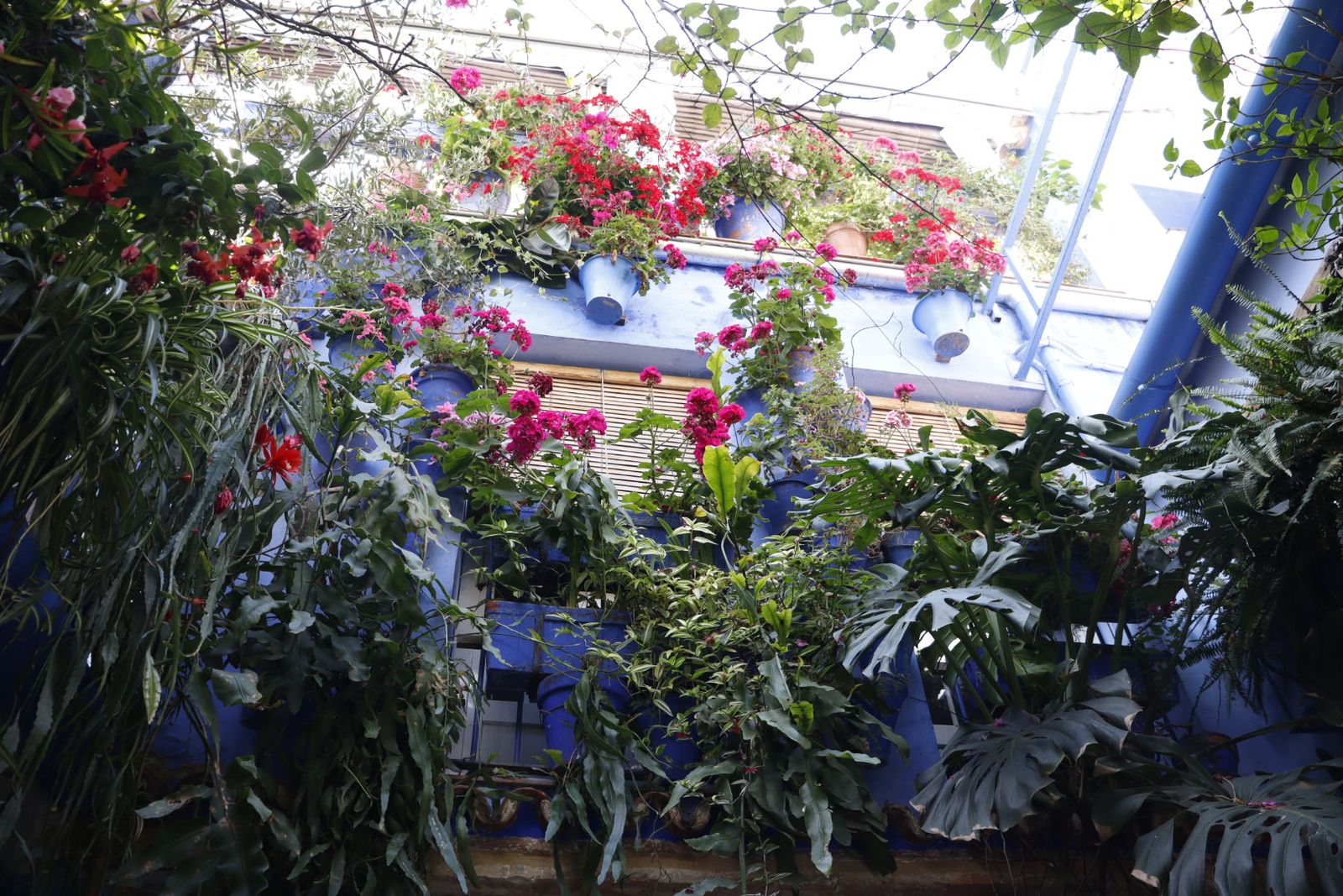 Ruta de los patios de San Lorenzo